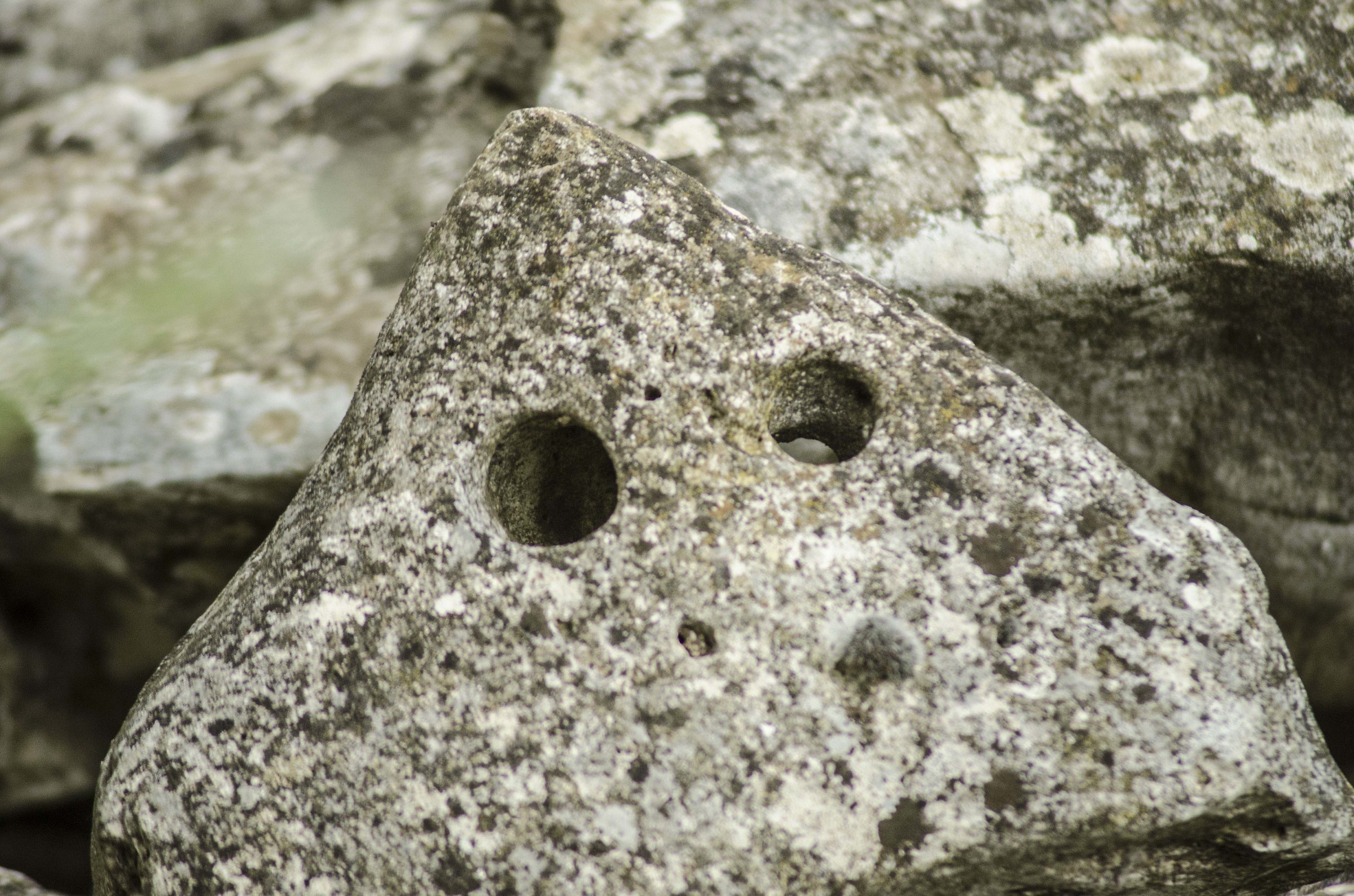 Even the stones look