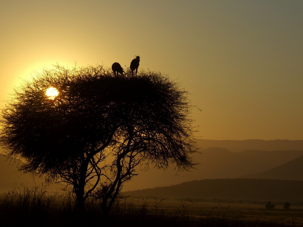 tramonto su serpentari