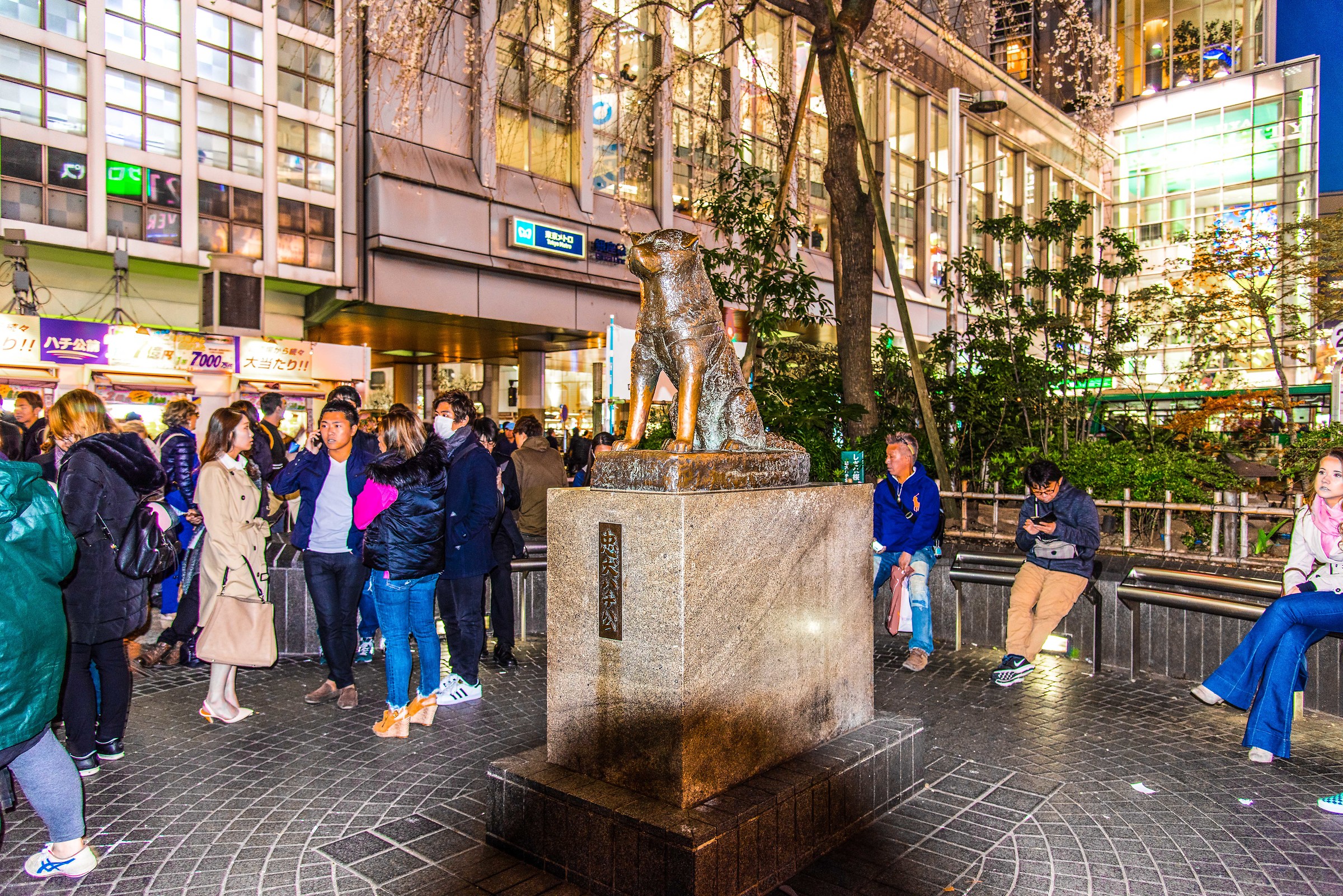 Tokyo - Shibuya Hachiko