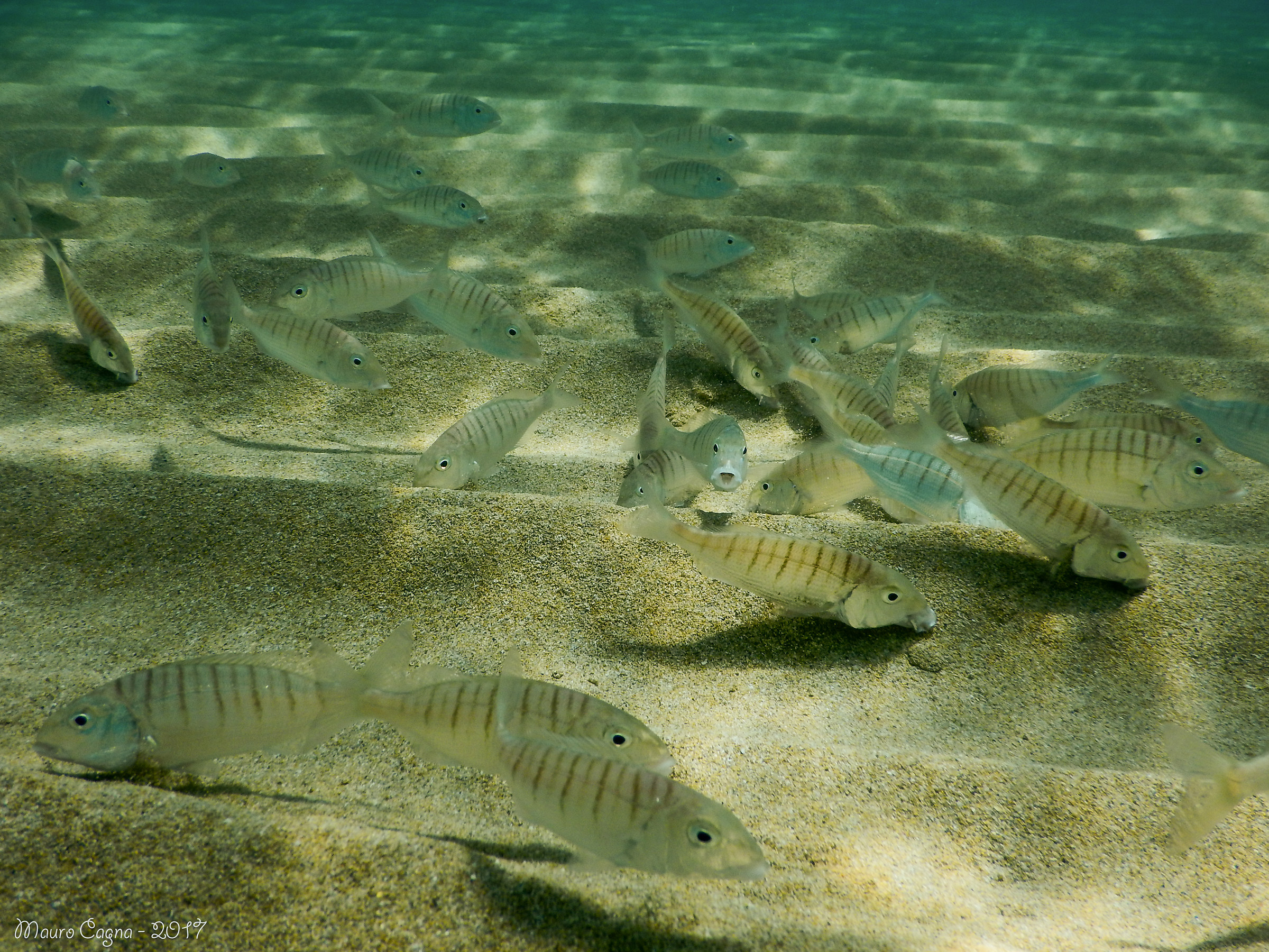 It's the snack time ...