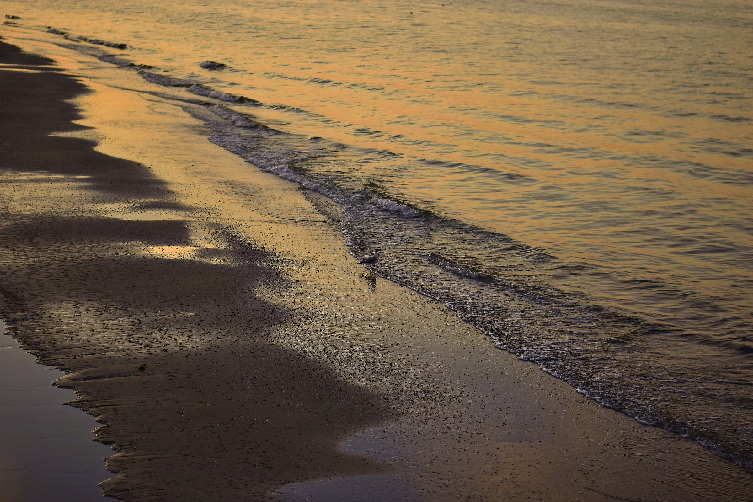 Am I alone alone, and you?