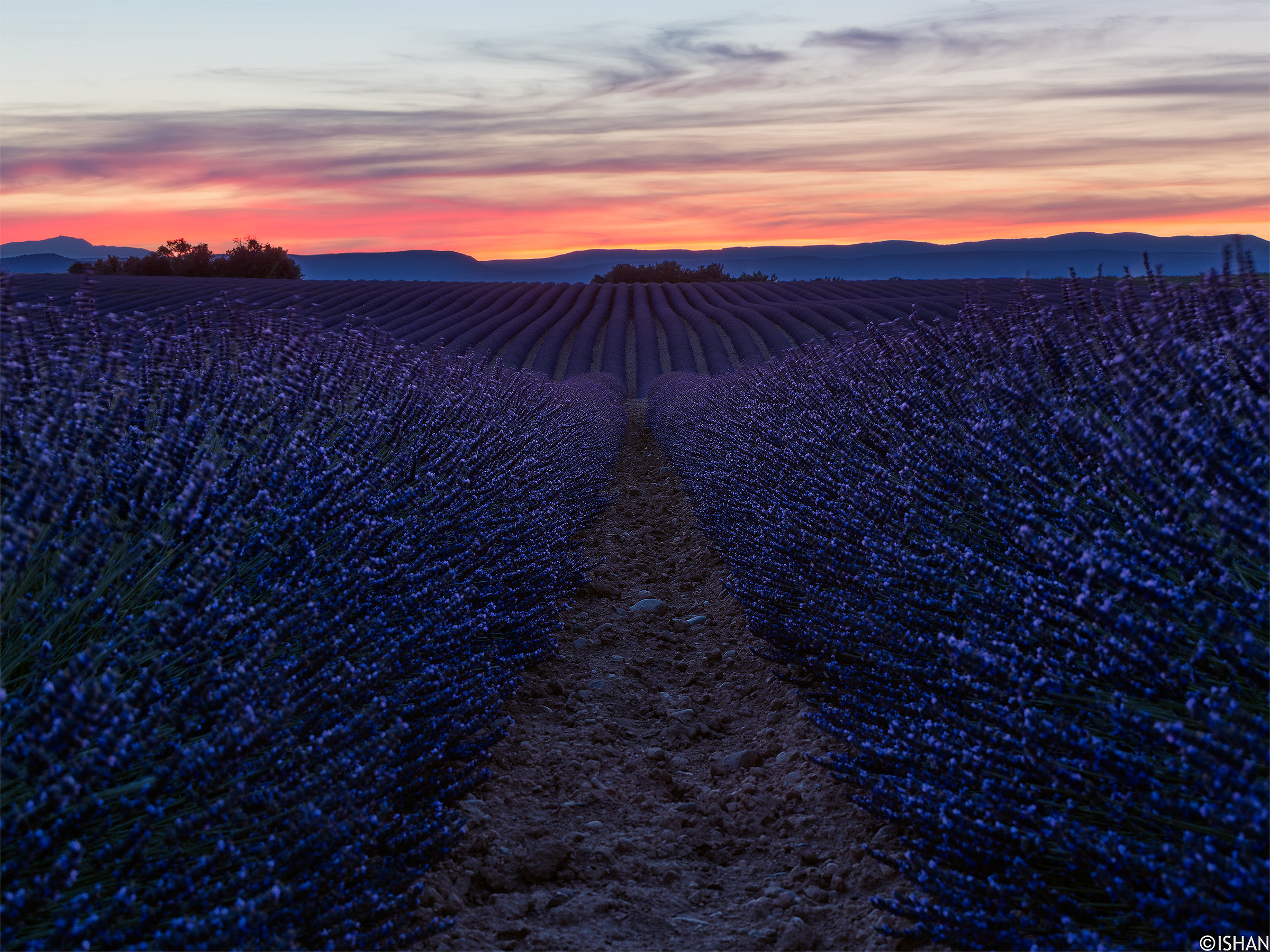 The gifts of the earth