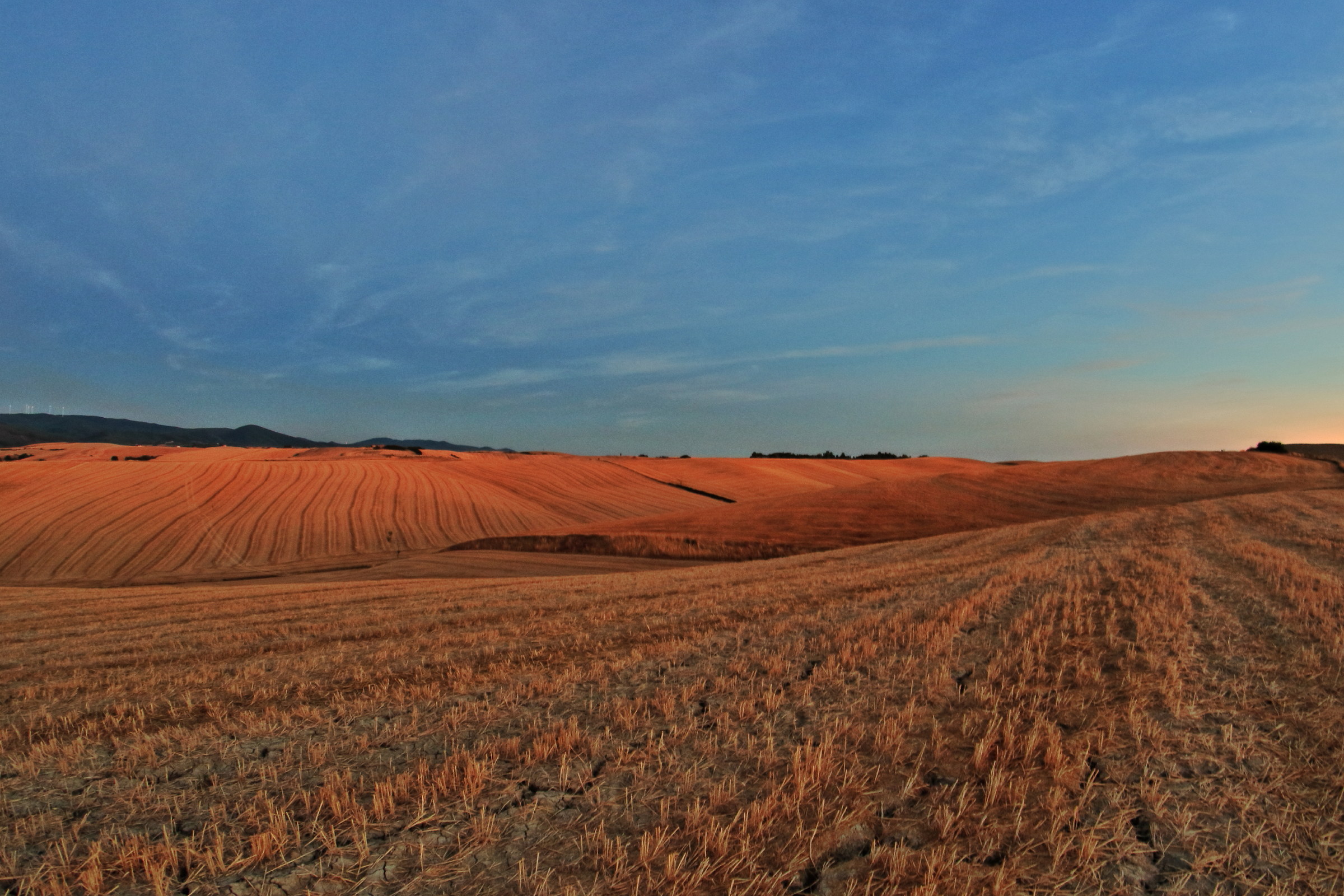 Campi di grano dopo la mietitura al tramonto (Lorenzana