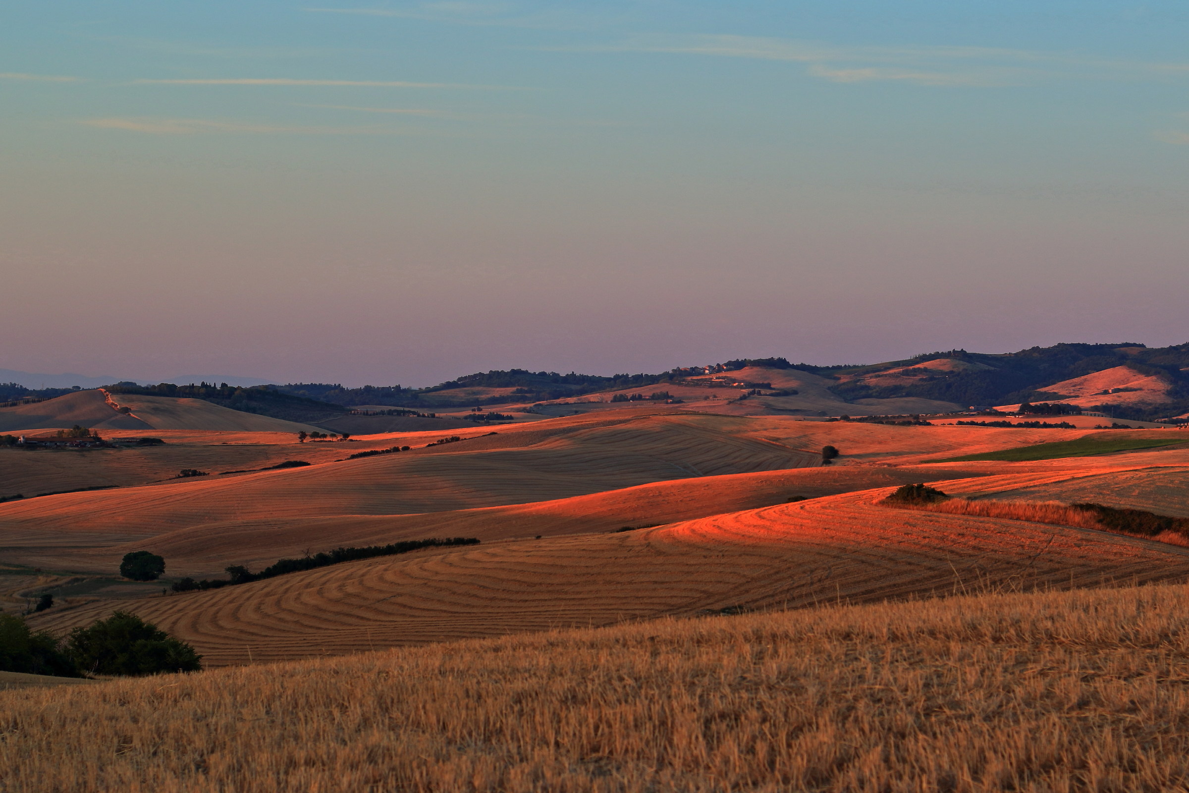 Campi di grano dopo la mietitura al tramonto (Lorenzana