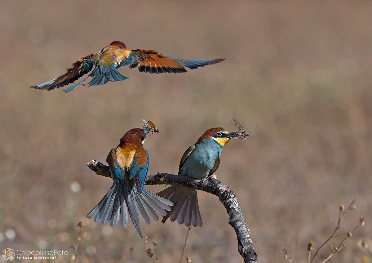 The hunting results are shown