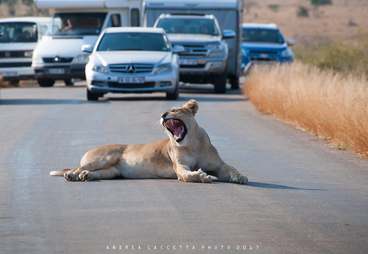 Hence you do not pass!