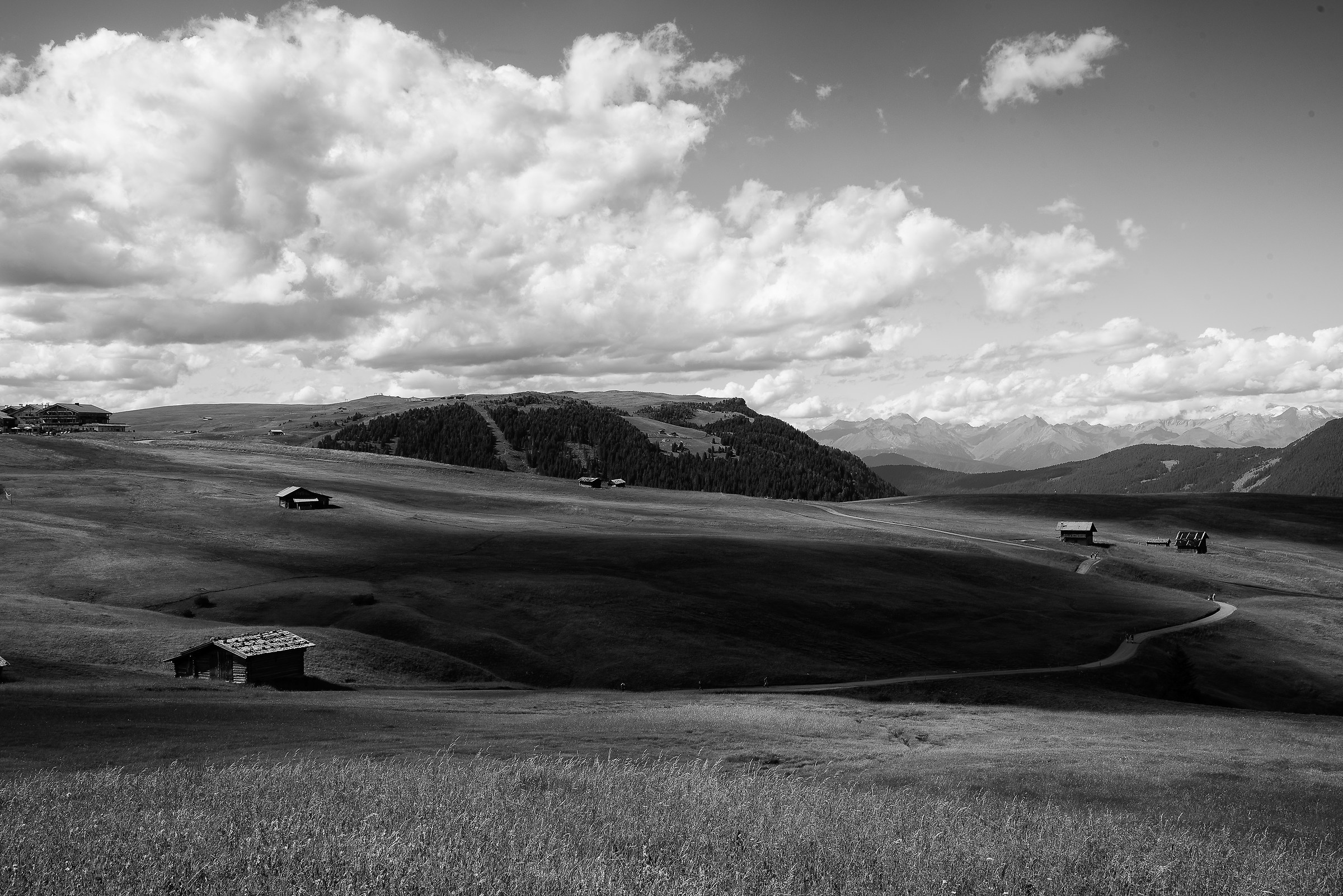 Alps of Siusi