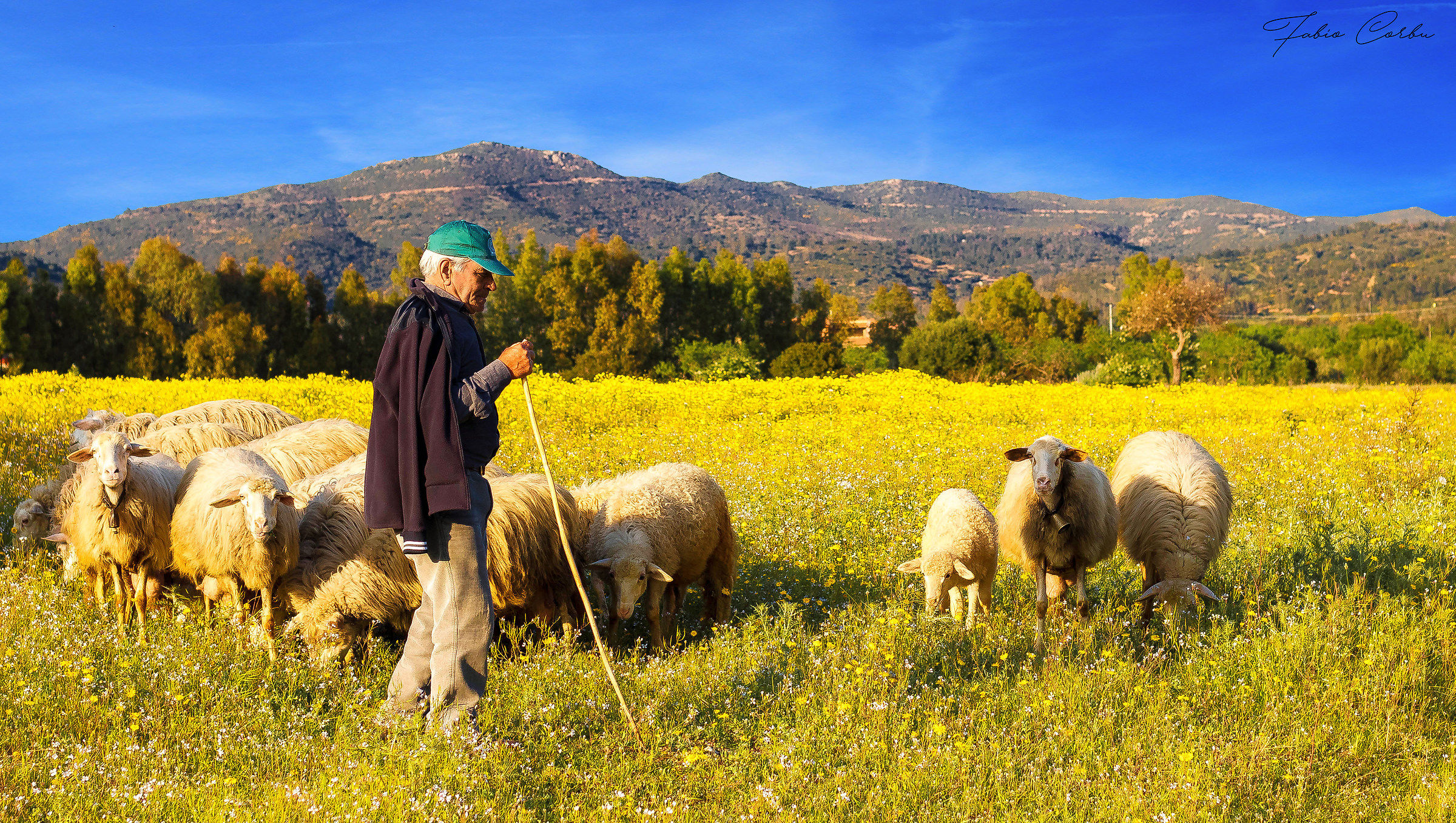 The Charm of Sardinia