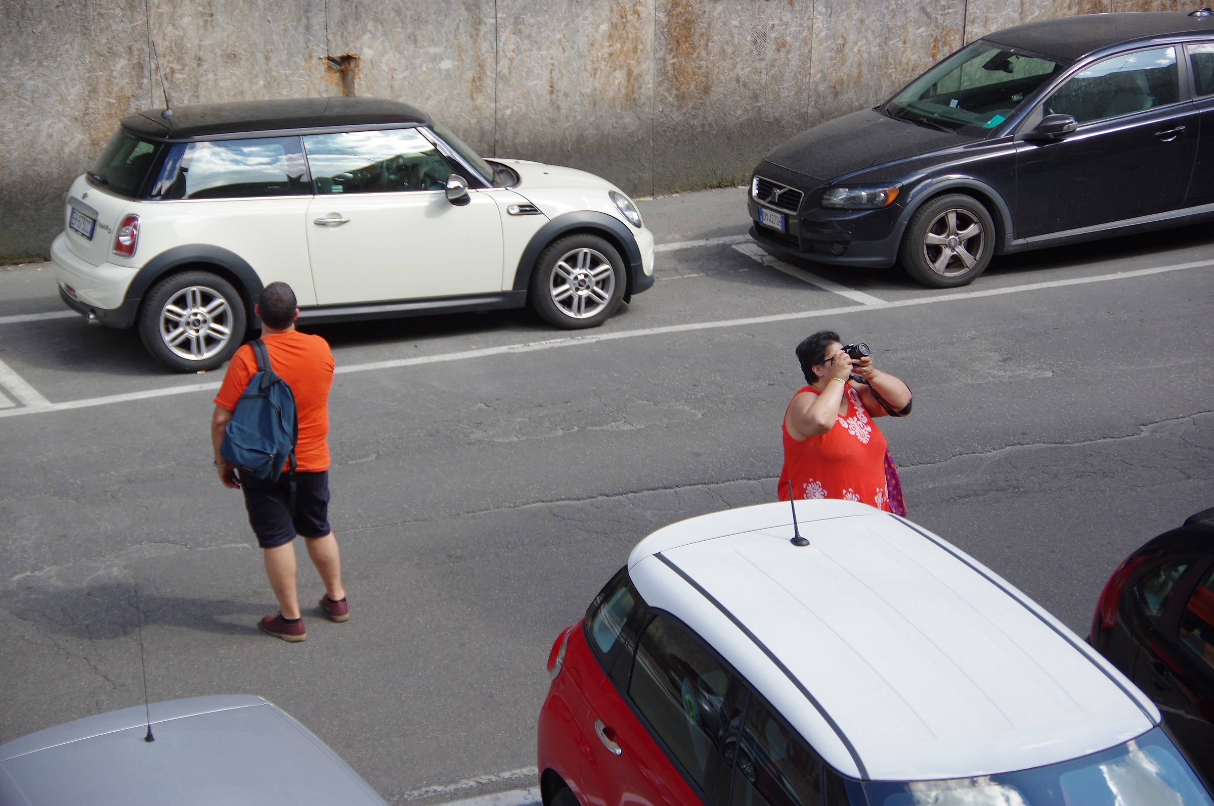 Visioni algi antipodi