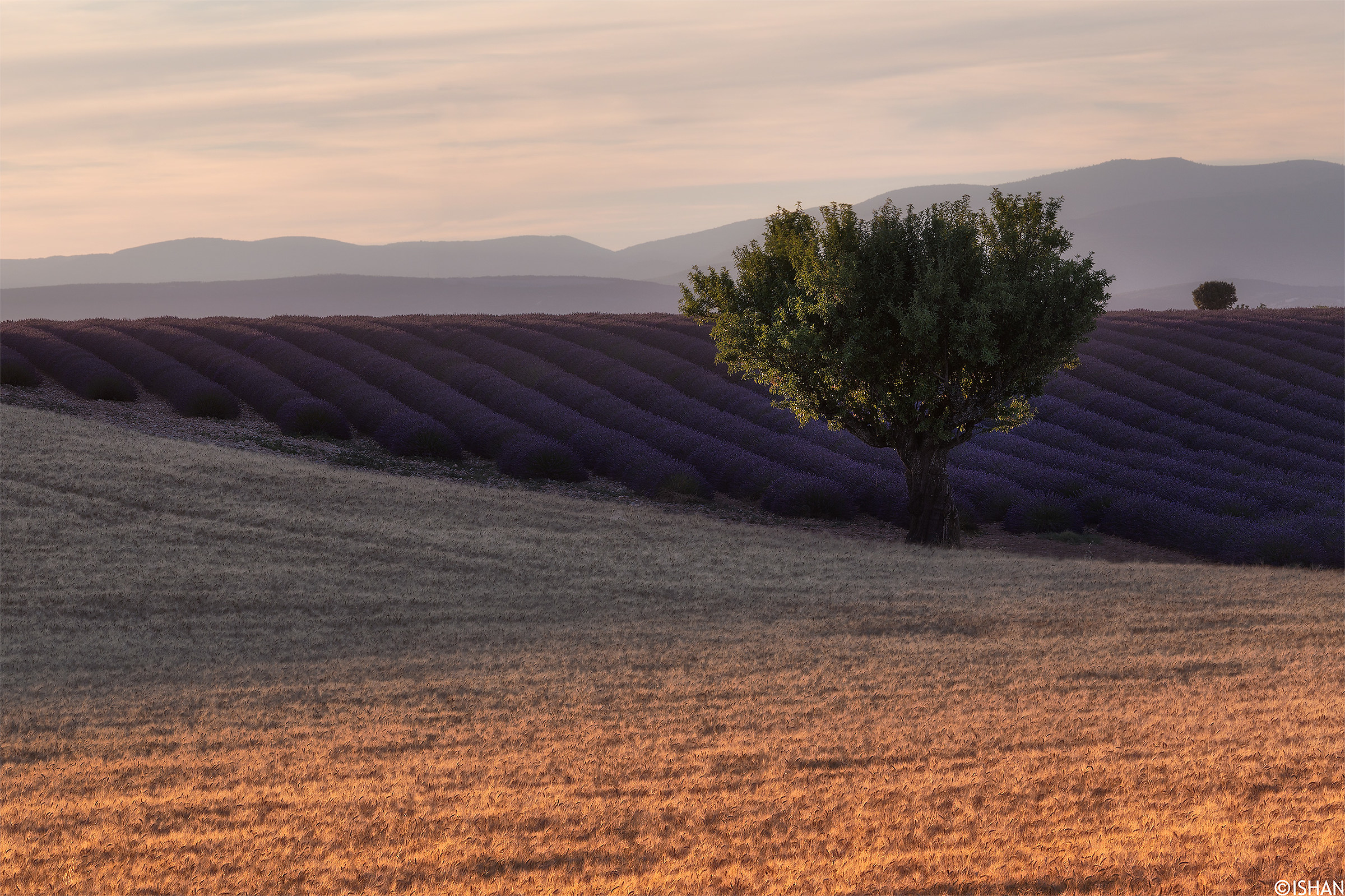 Waiting for the sunset