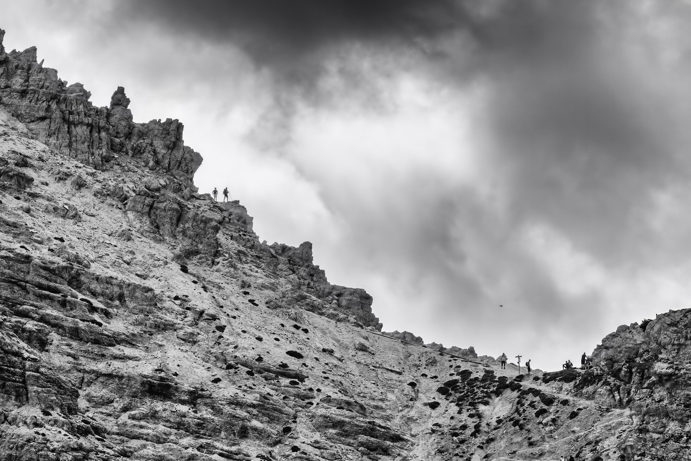 Fork Sassonger B & W