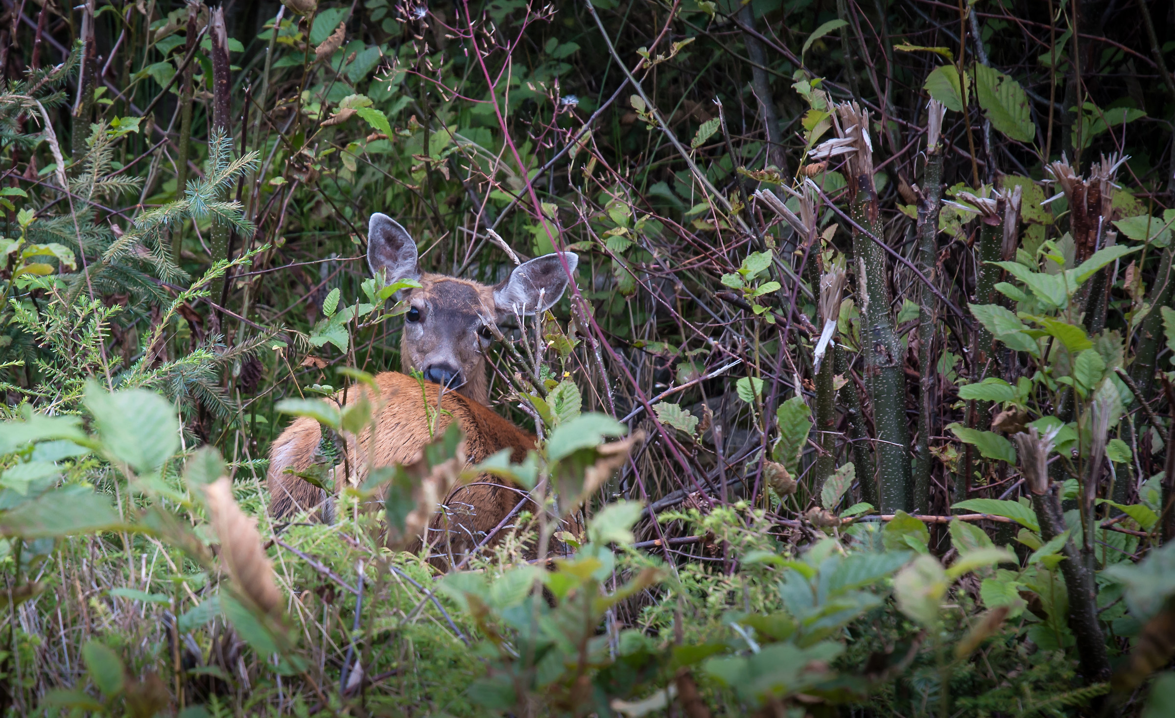 Encounters that make you feel the day