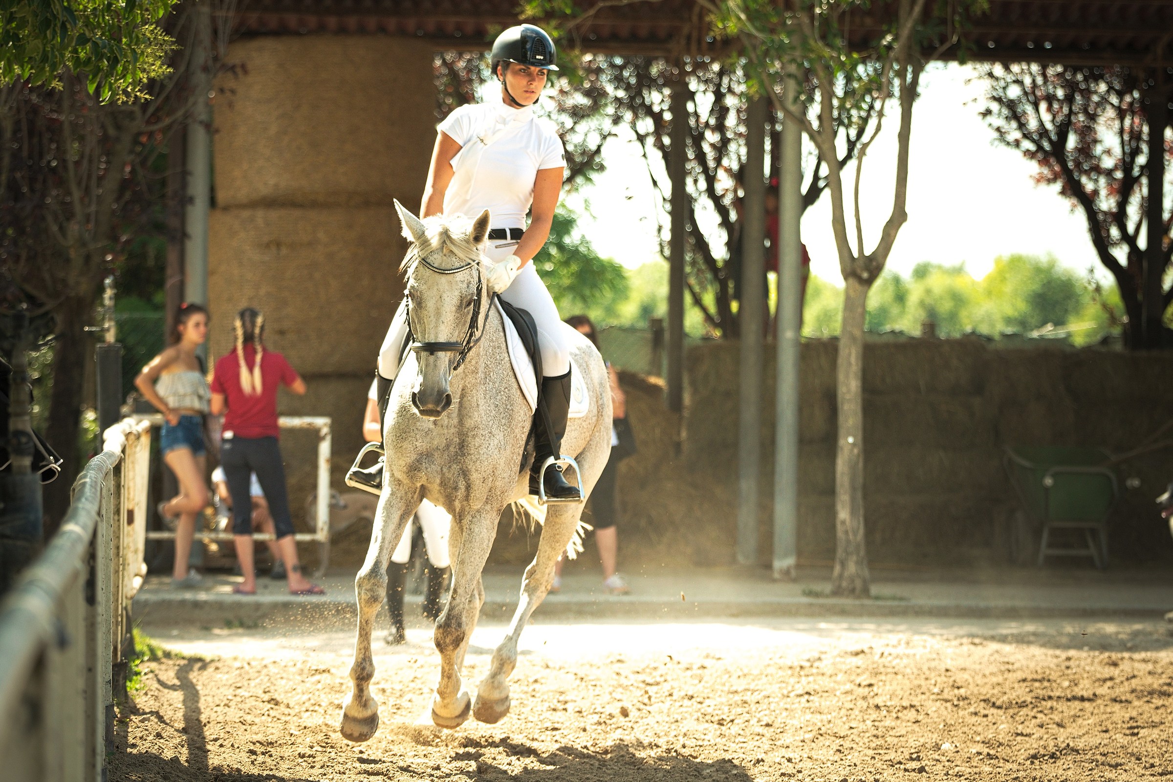 Campo Prova Dressage