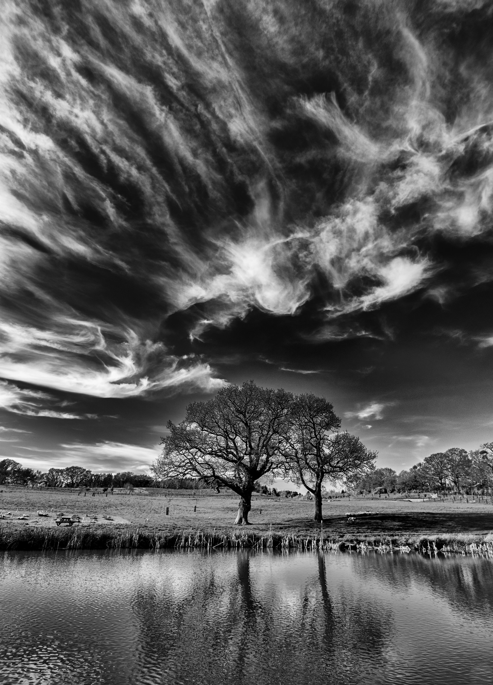 E gli Angeli sono venuti