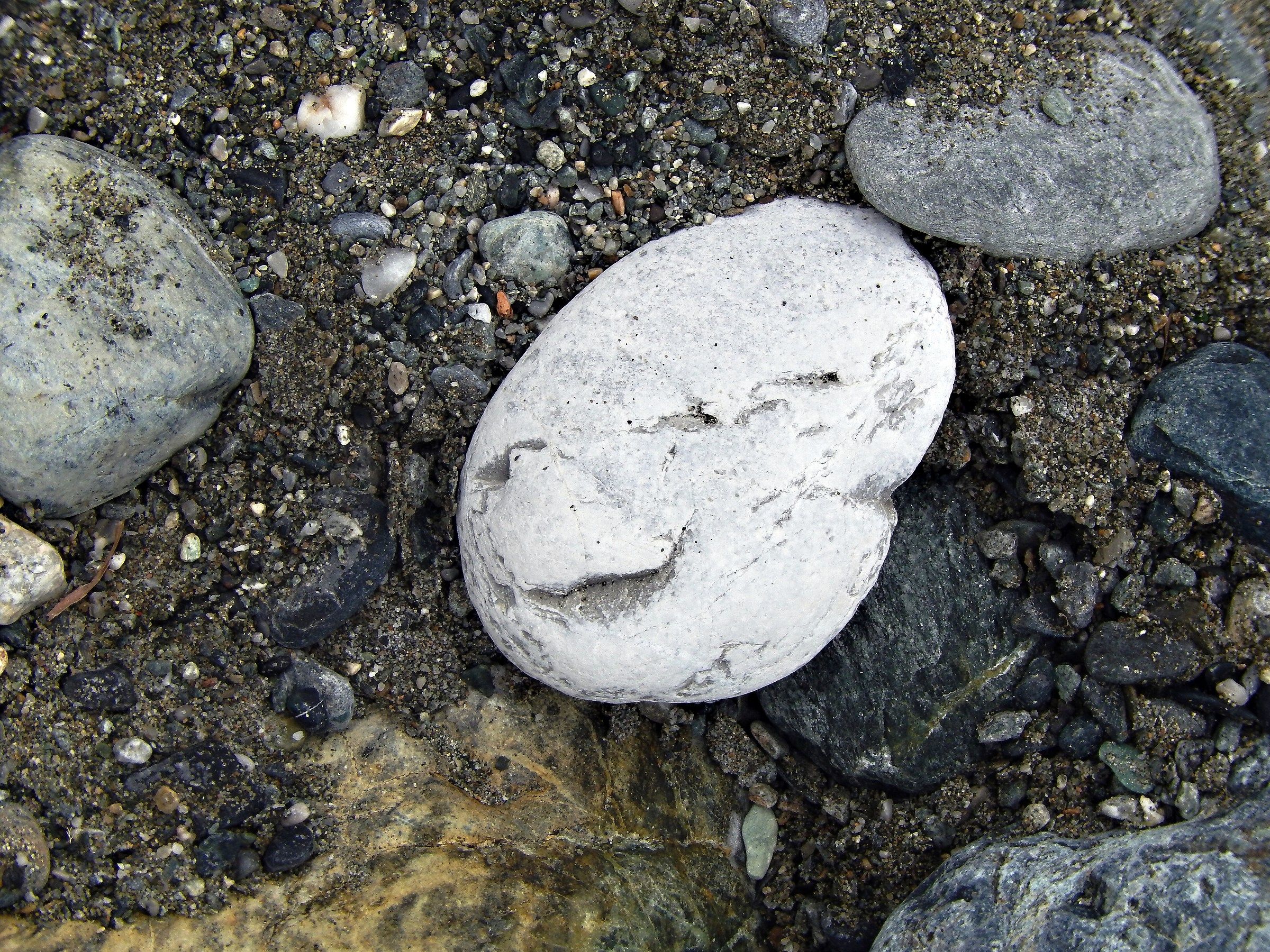 ... regalami un sorriso