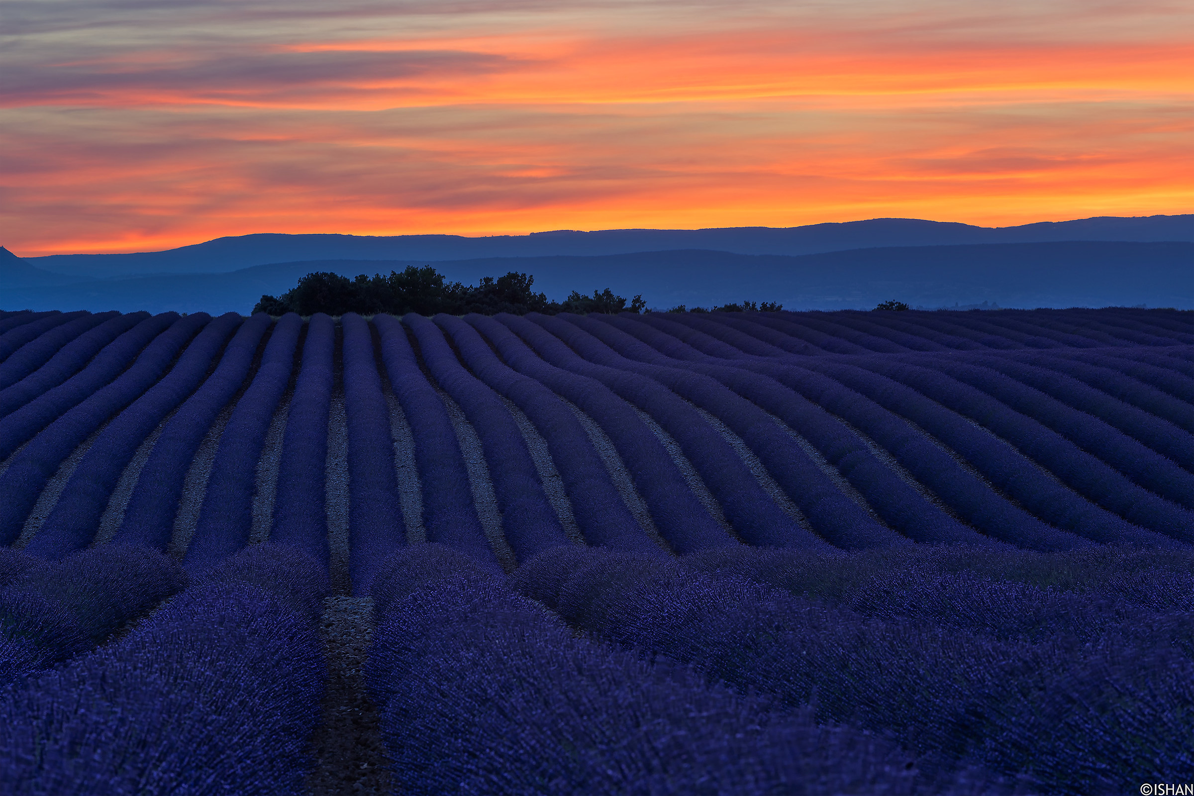 The prosperity of the day