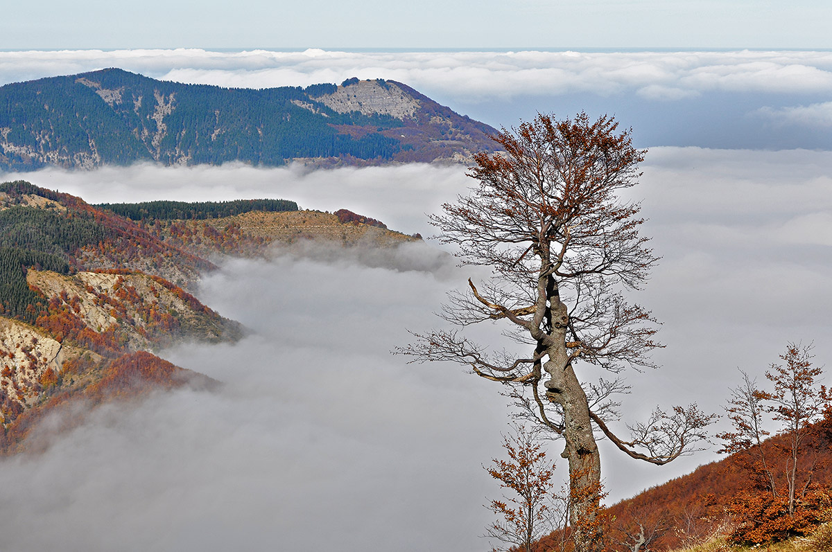 The Guardian of the Clouds