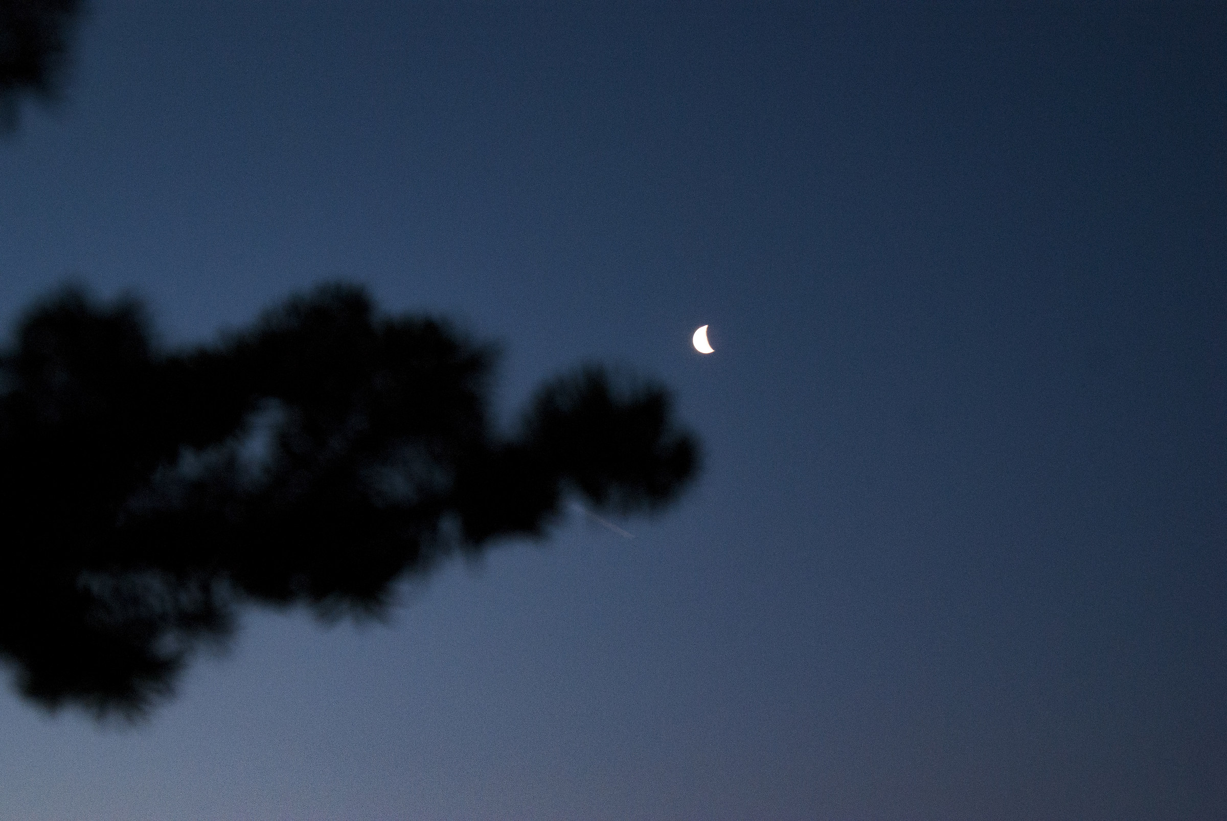 The Moon in the blue sky