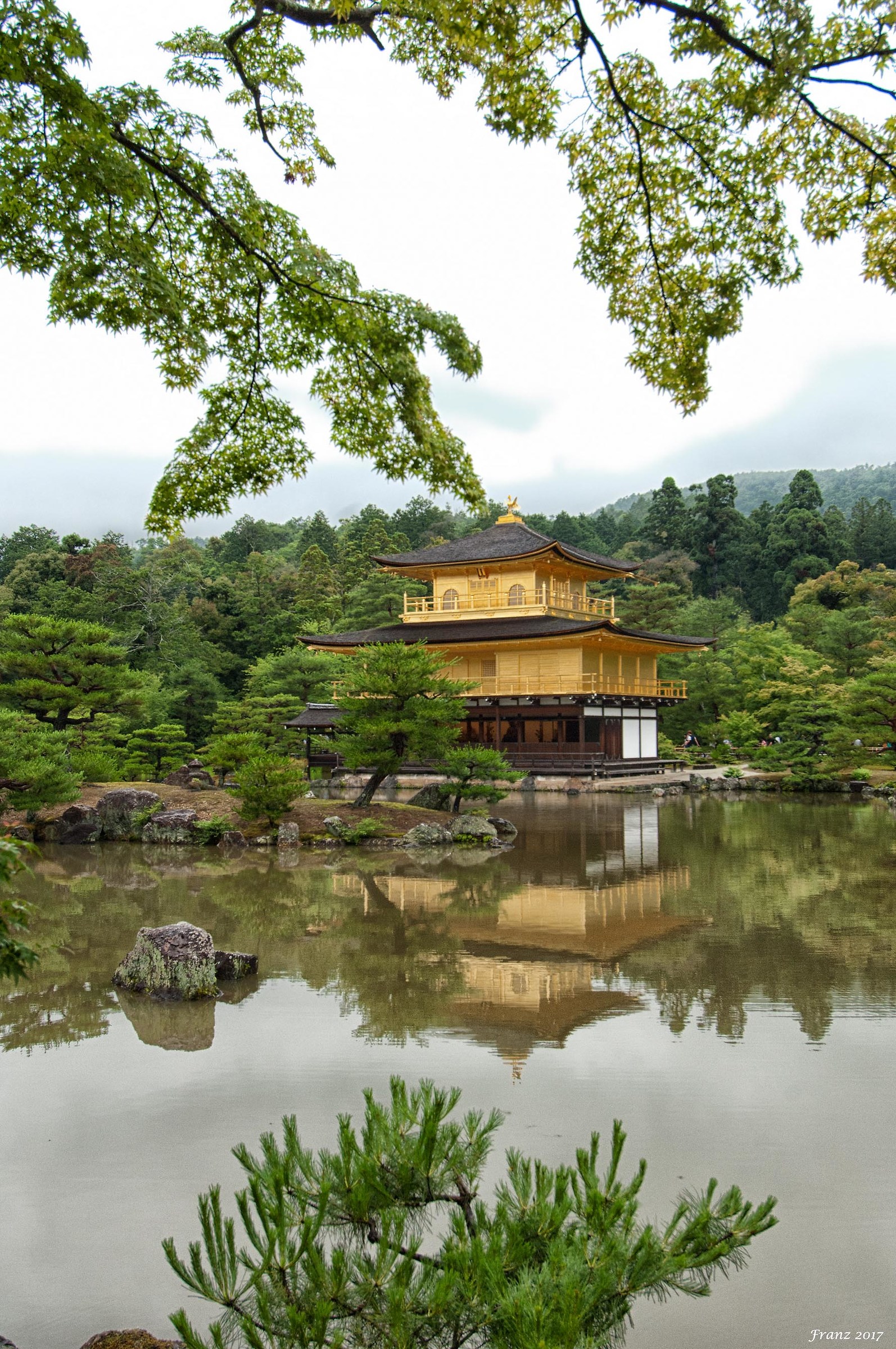 Kinkaku-ji (Tempio d'Oro) Kyoto