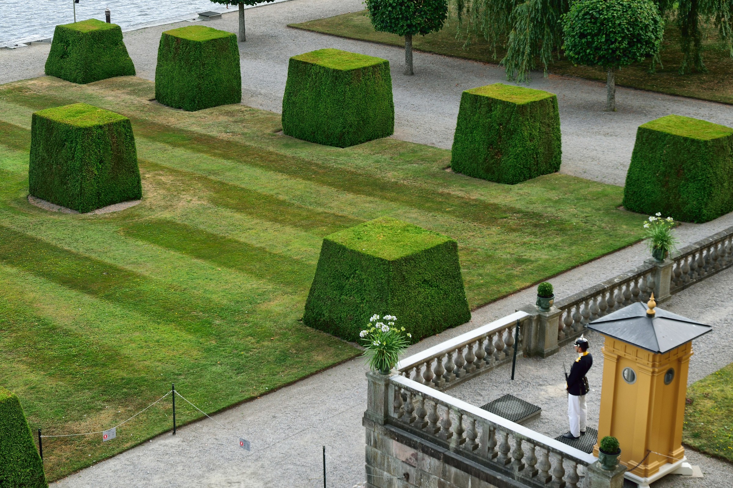 La guardia e le siepi