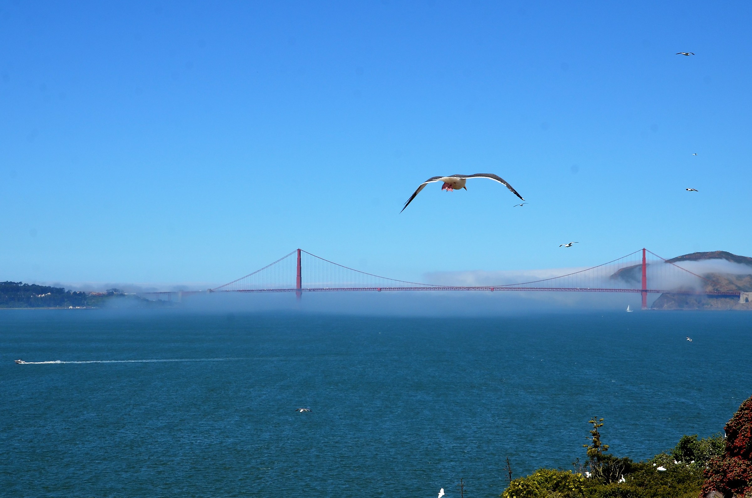 golden gate 2, imponente...