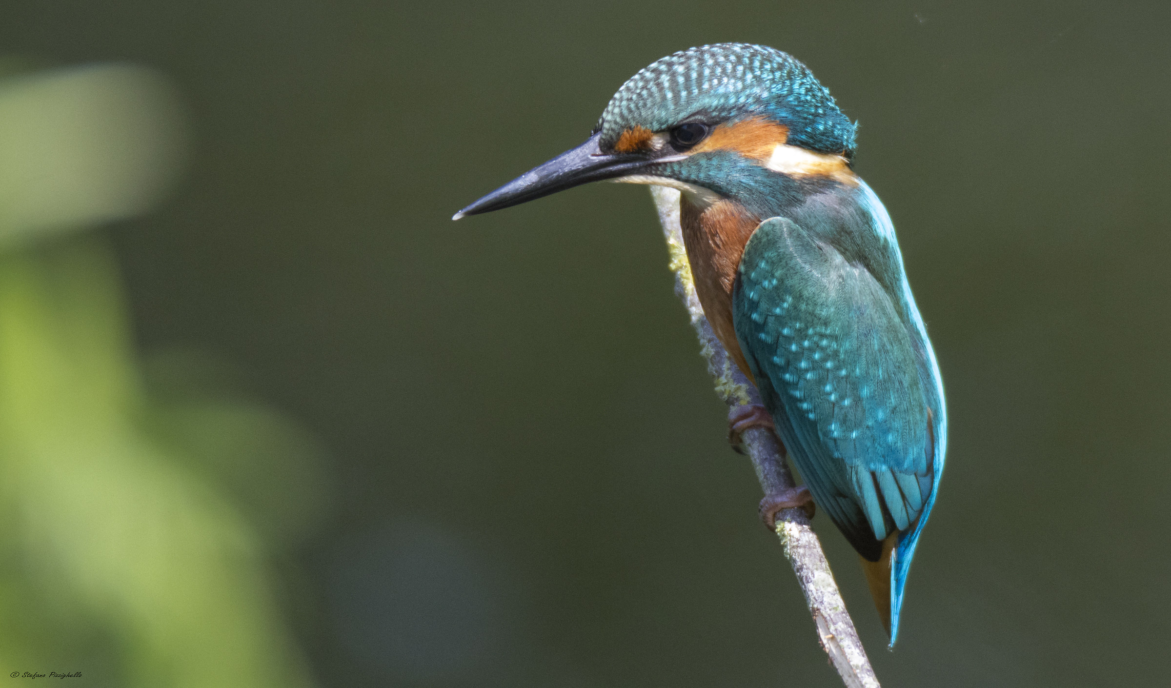 Martin Fisherman ... I fell in love !!! :-)