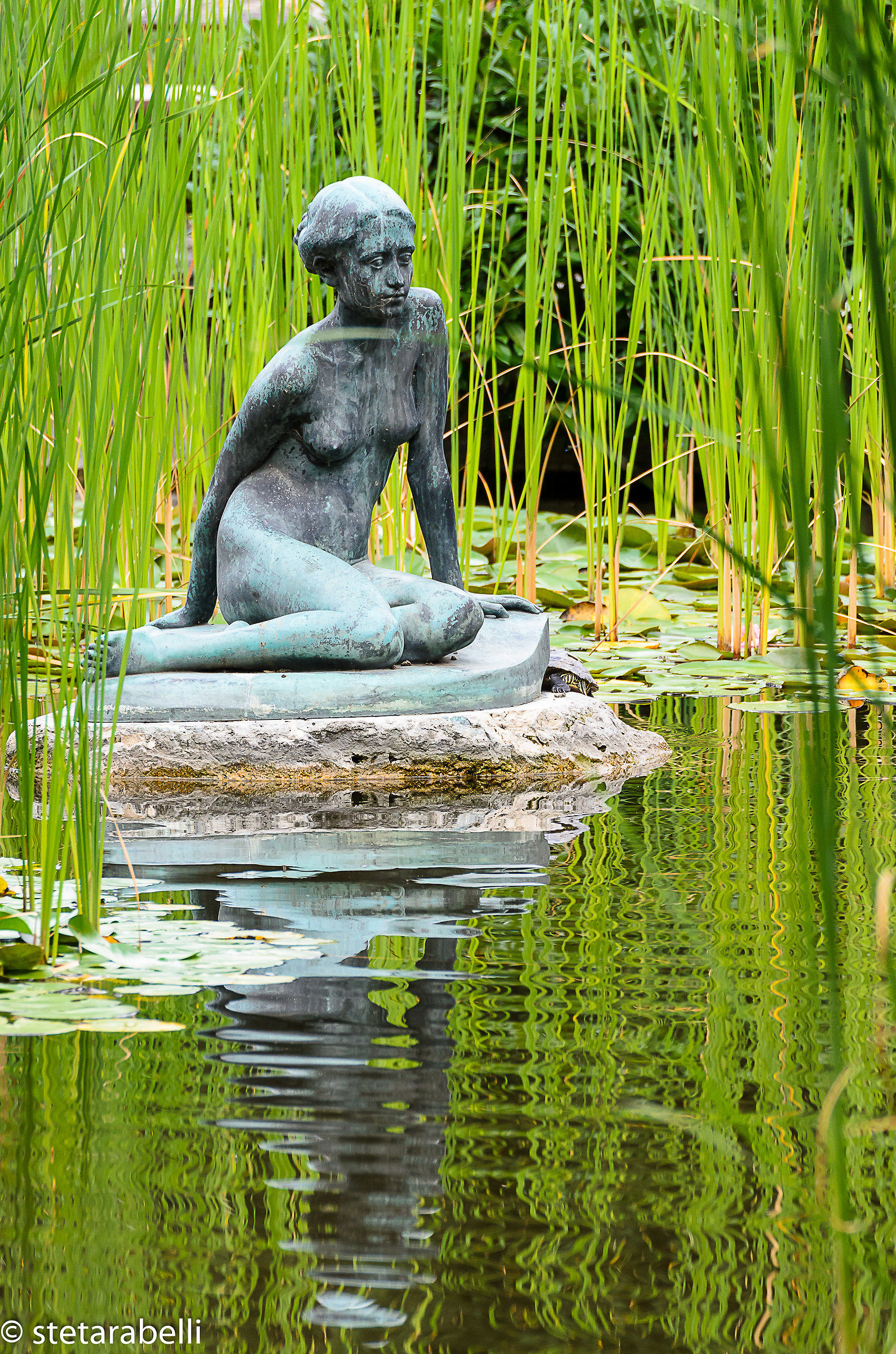 Garden at Margaret Island