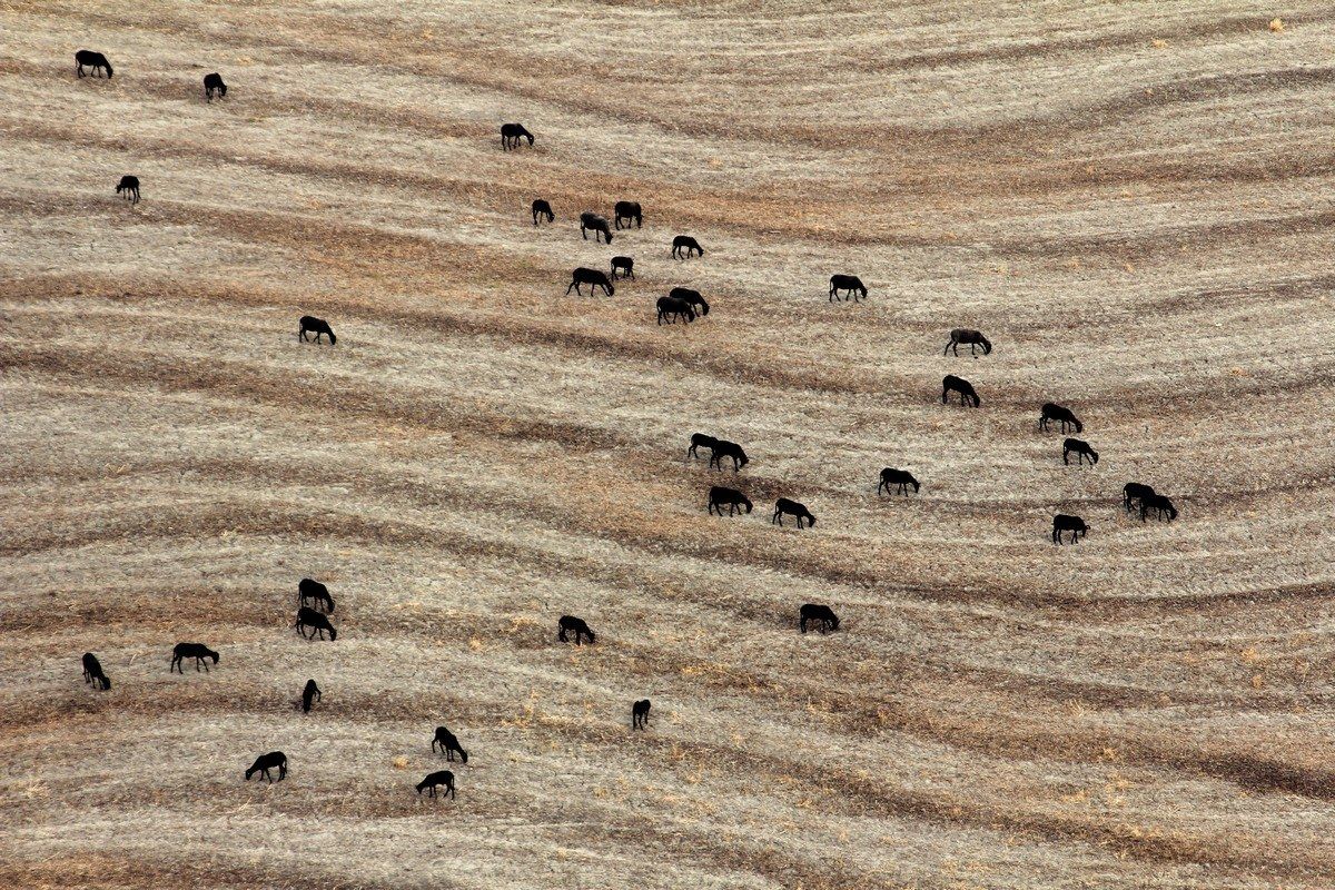 You can not tell Trump ...