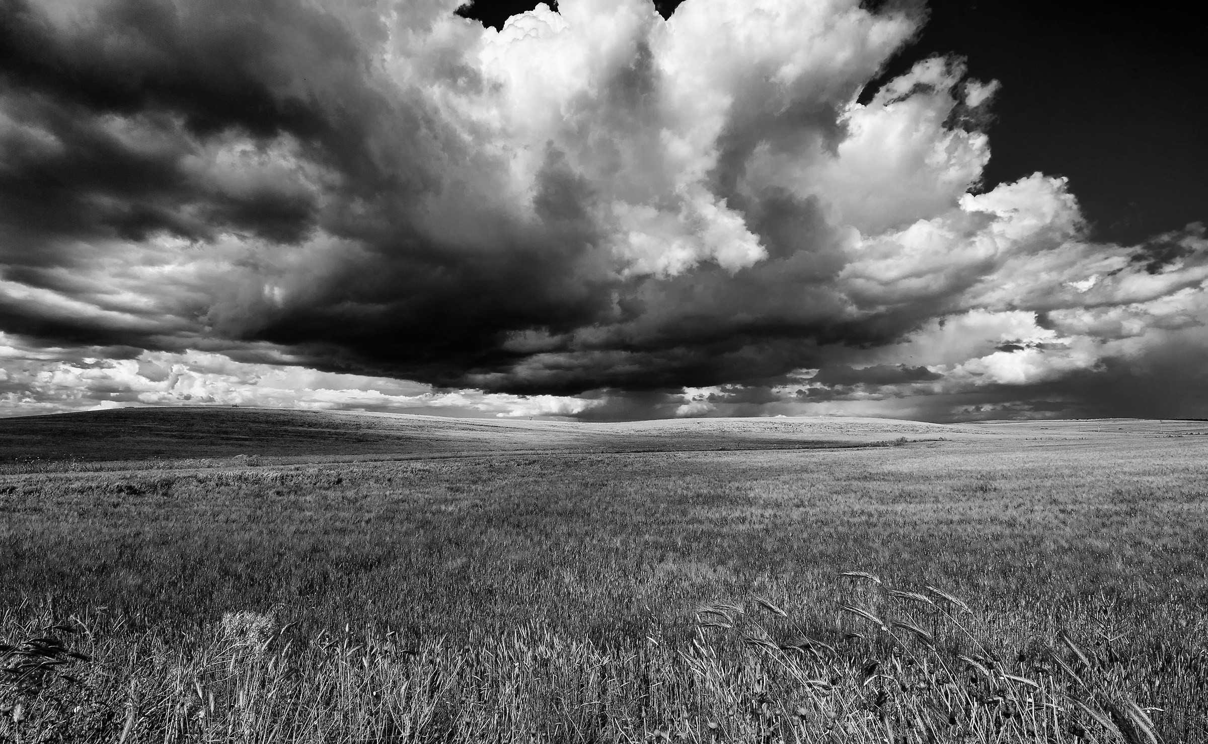 Puglia-Altopiano della Murgia