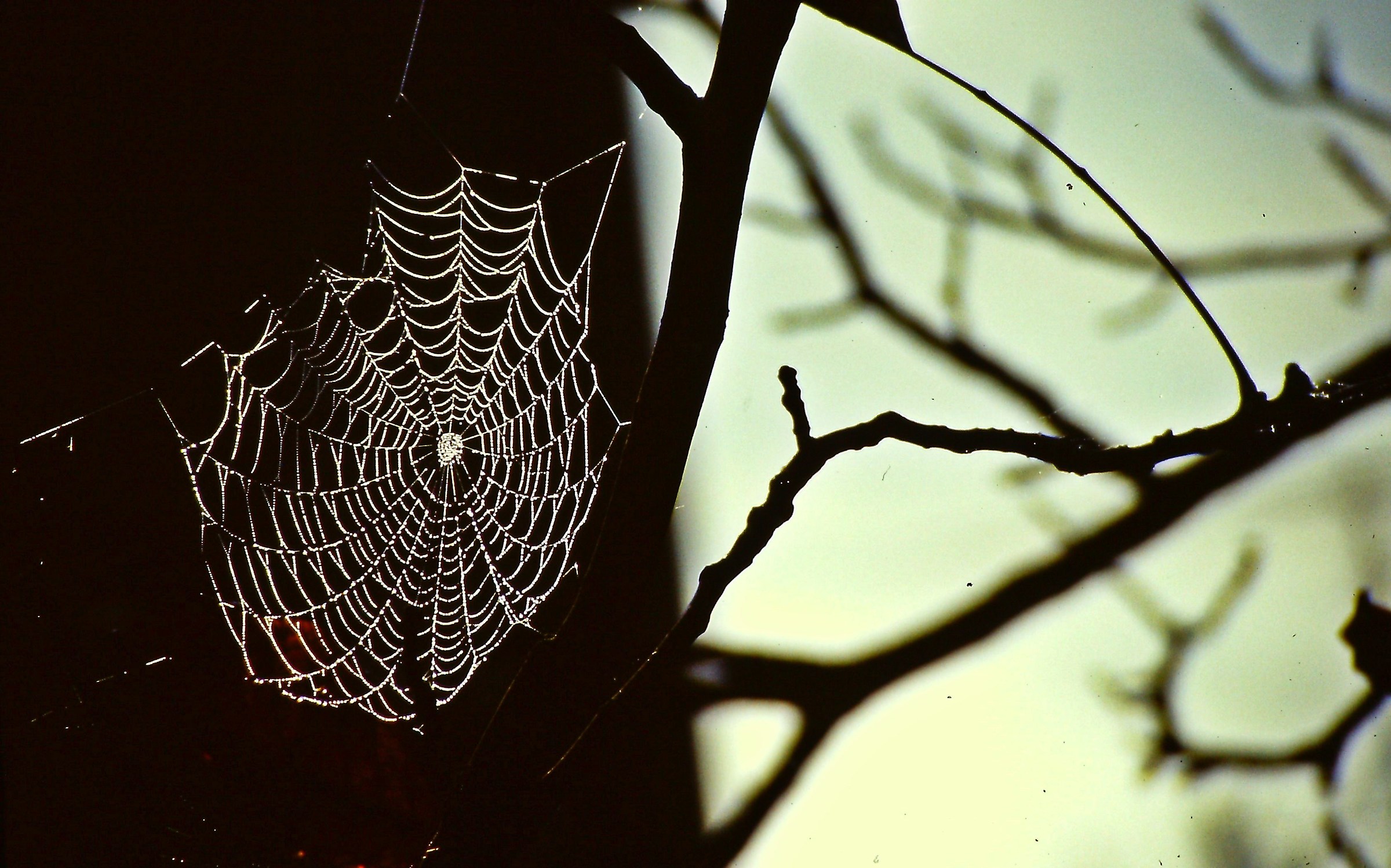 67 - il buio mi fa bella