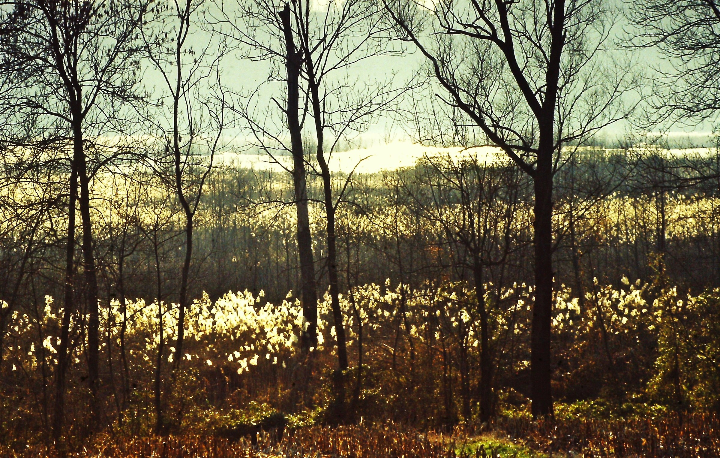 92 - romanticismo insubrico - VA Biandronno