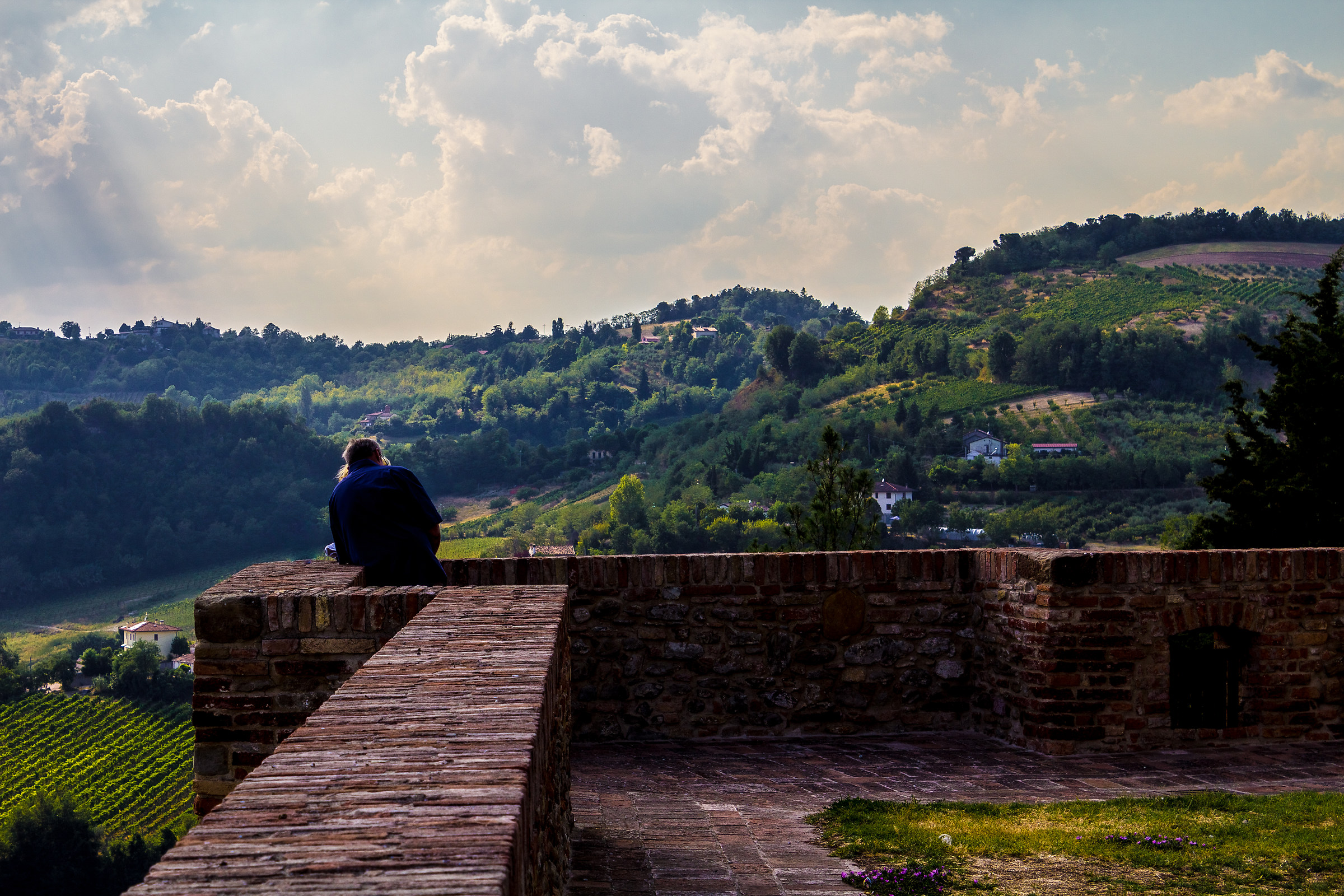 Romagna Landscape #1
