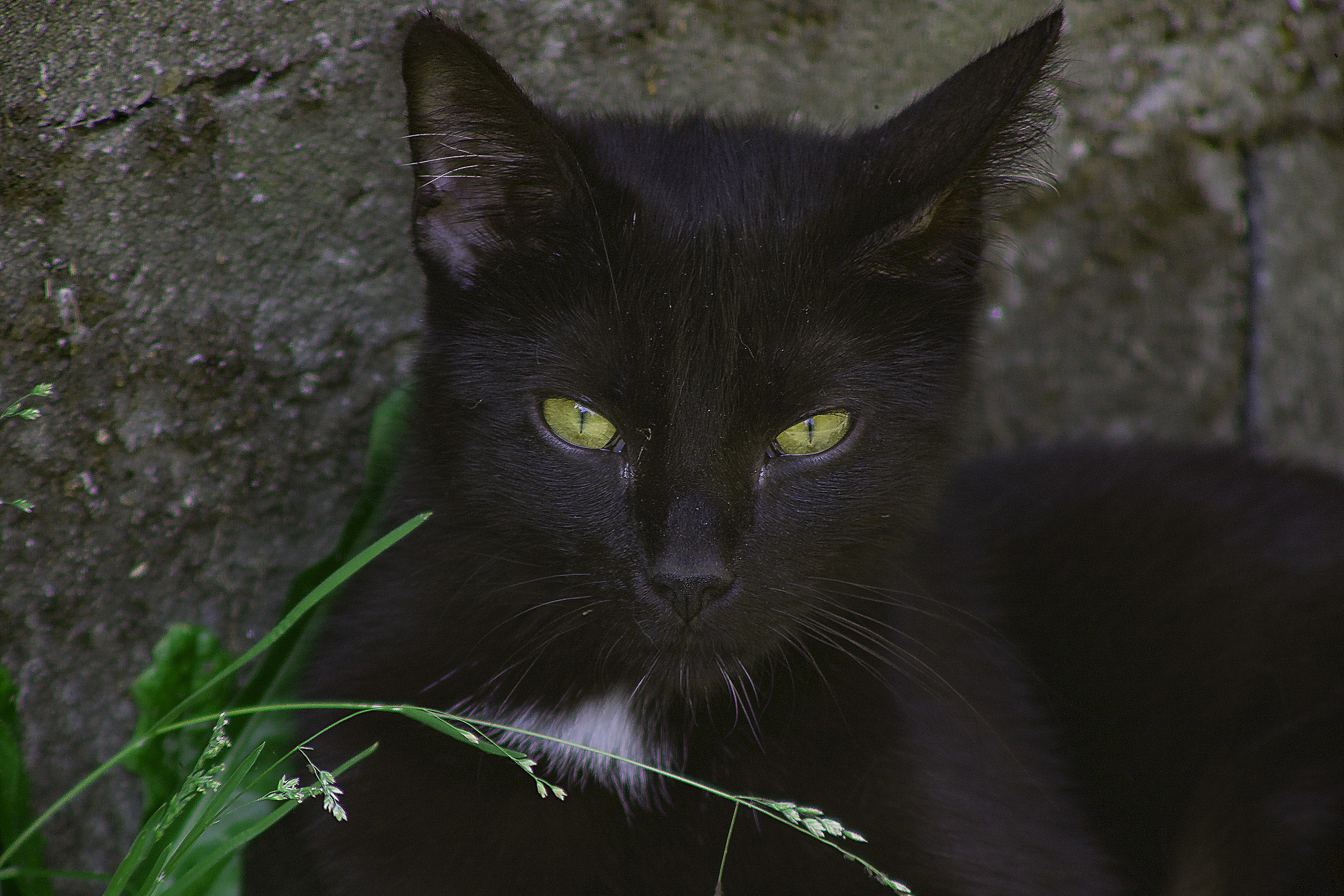 Per fortuna che non c'e più l'Inquisizione