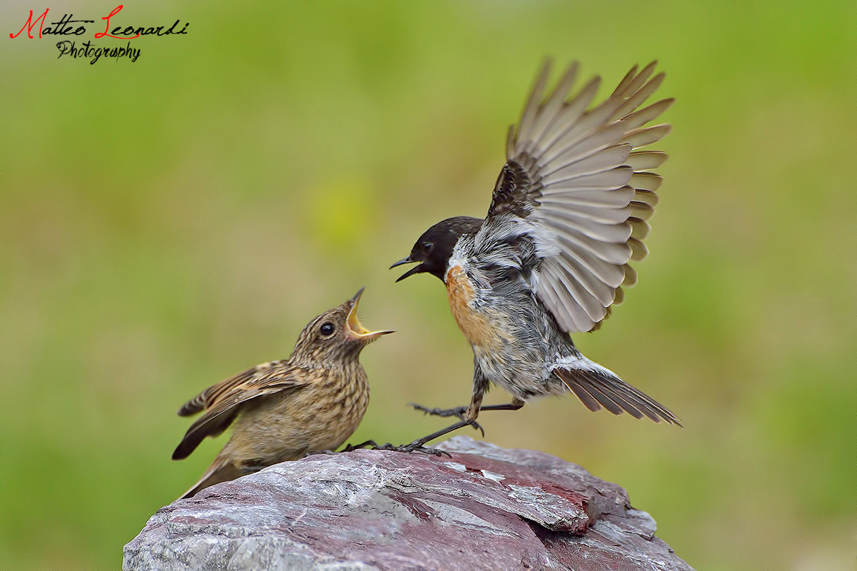When Dad gets angry! Saltpulls - Apuan Alps