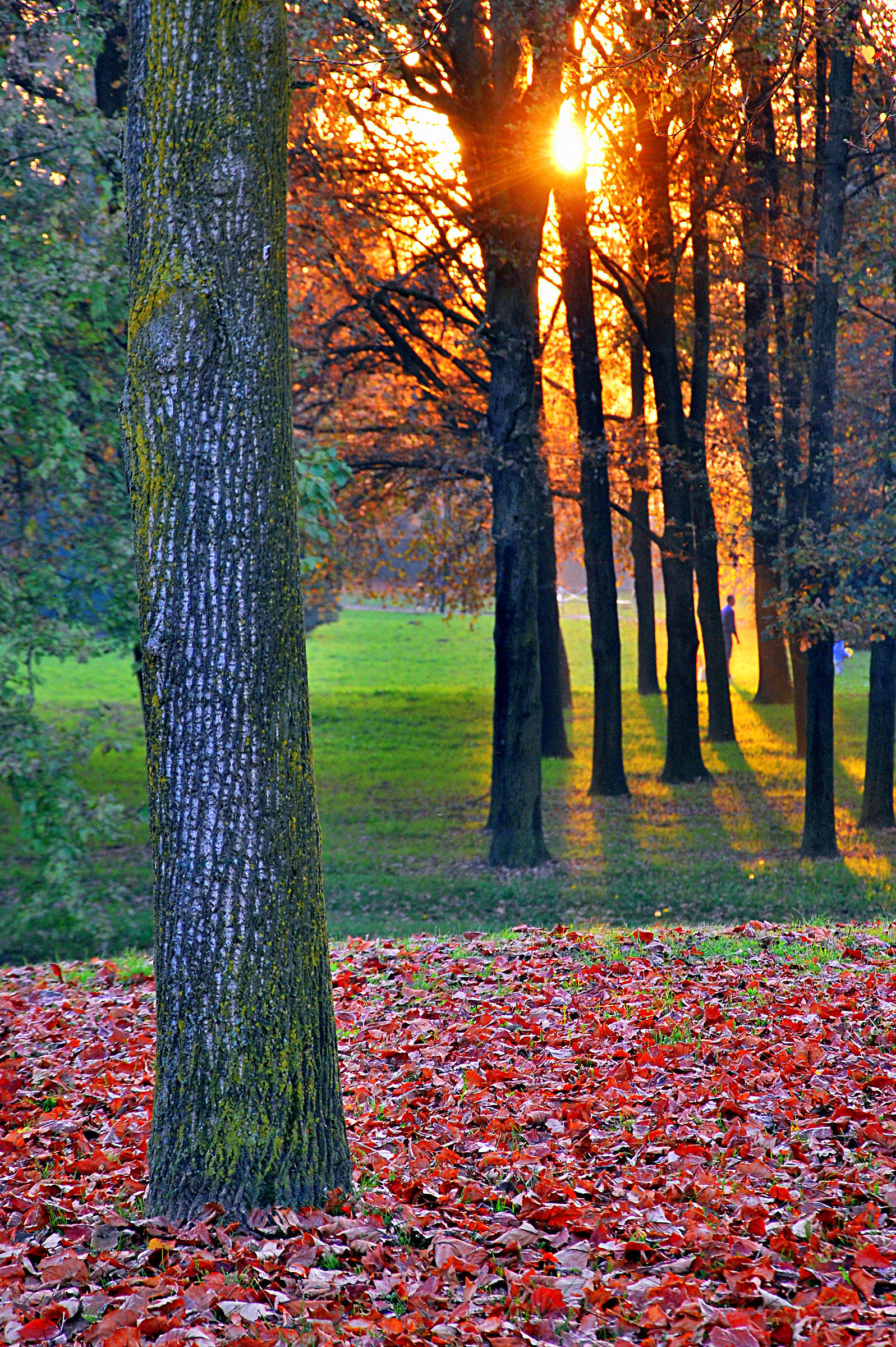 tramonto autunnale al parco della Pellerina