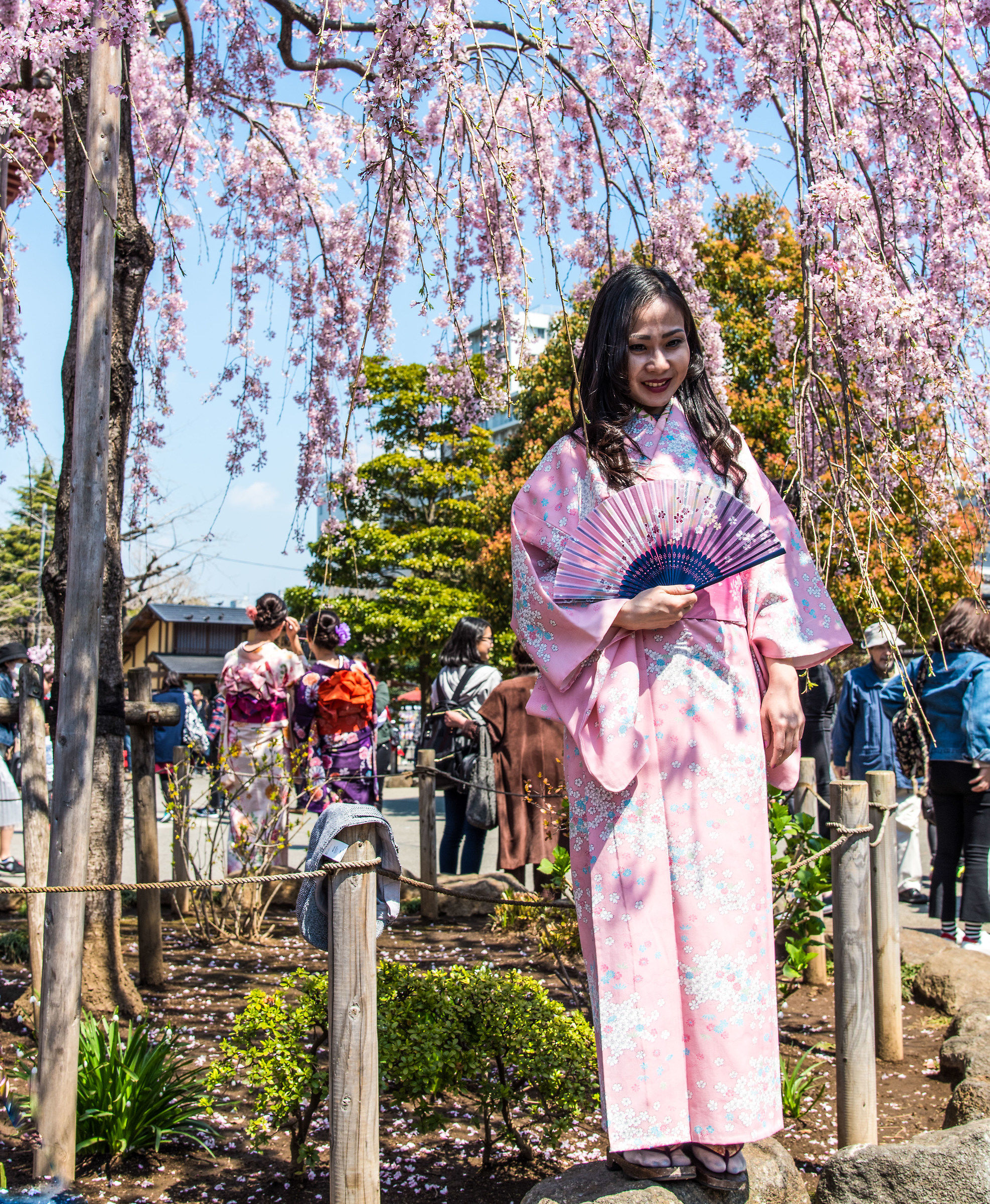 Tokyo Tempio Senso-JI