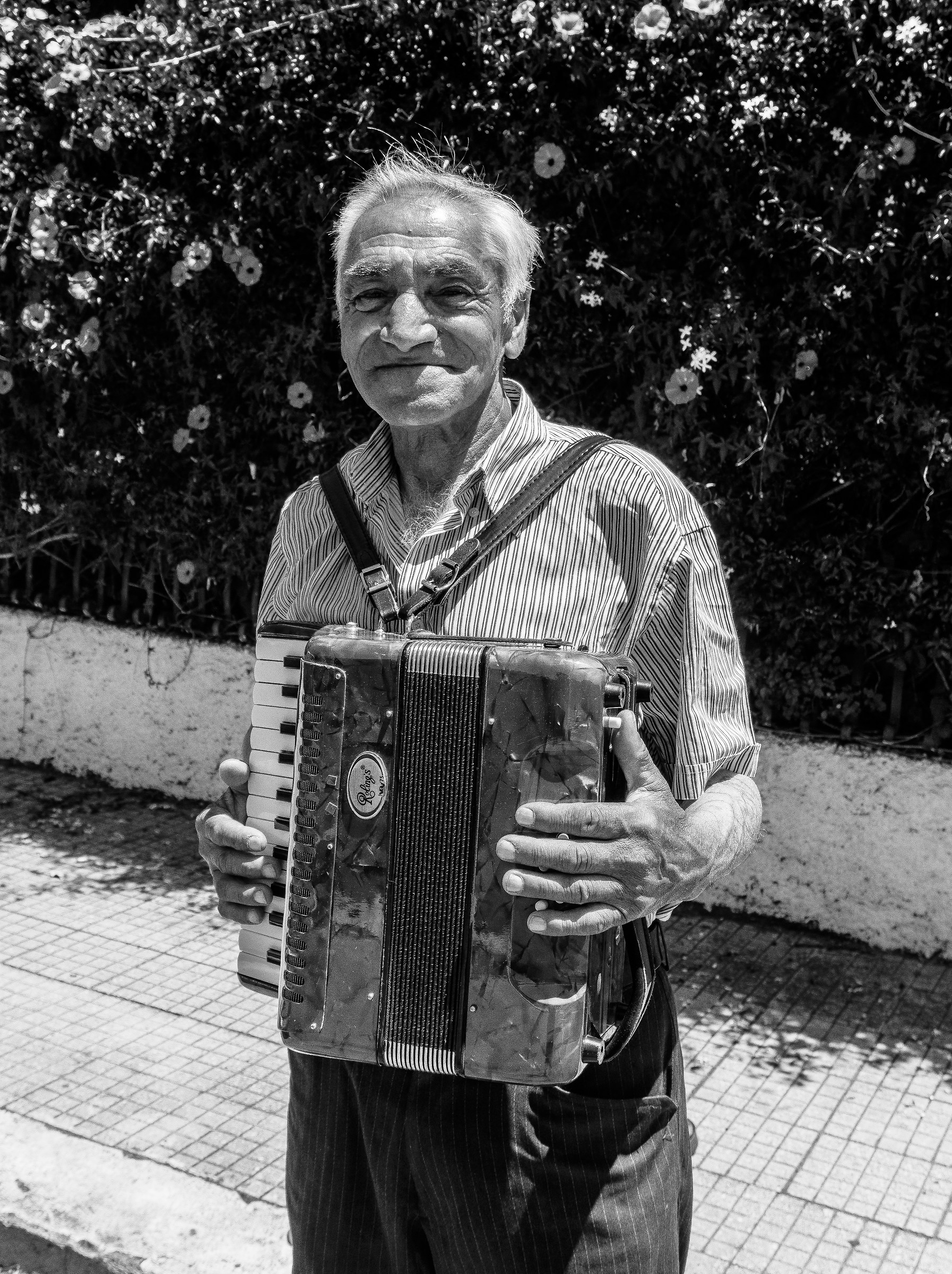 Accordion player