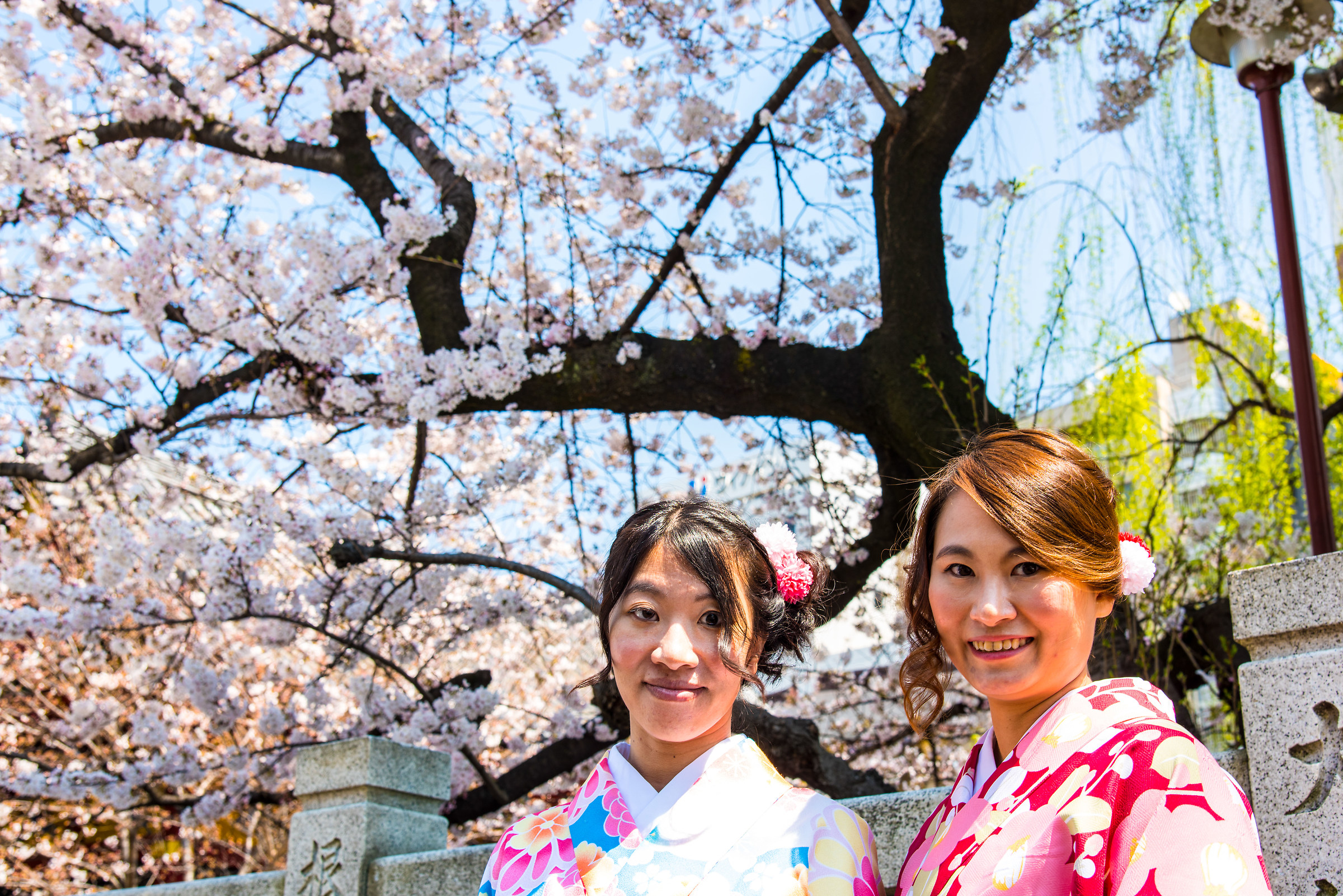 Tokyo Tempio Senso-JI