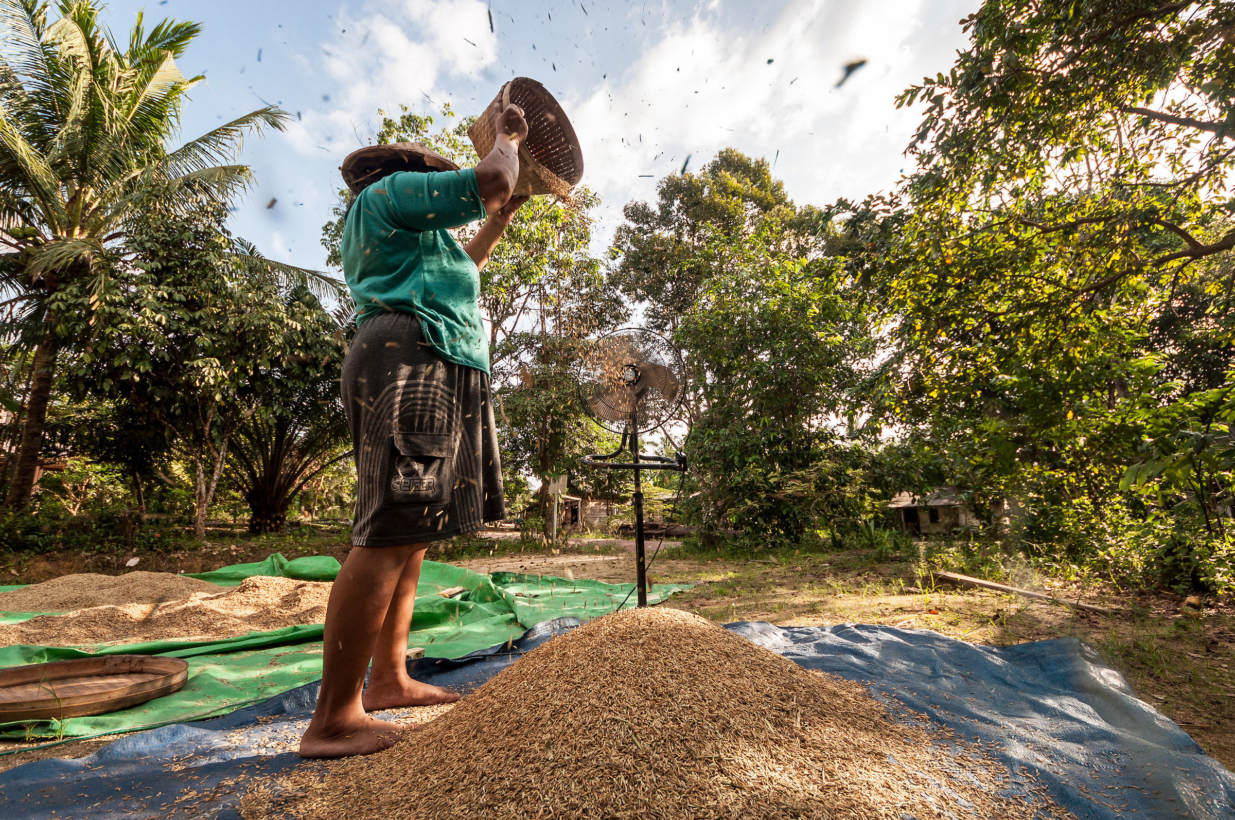 Utilizzo creativo del ventilatore