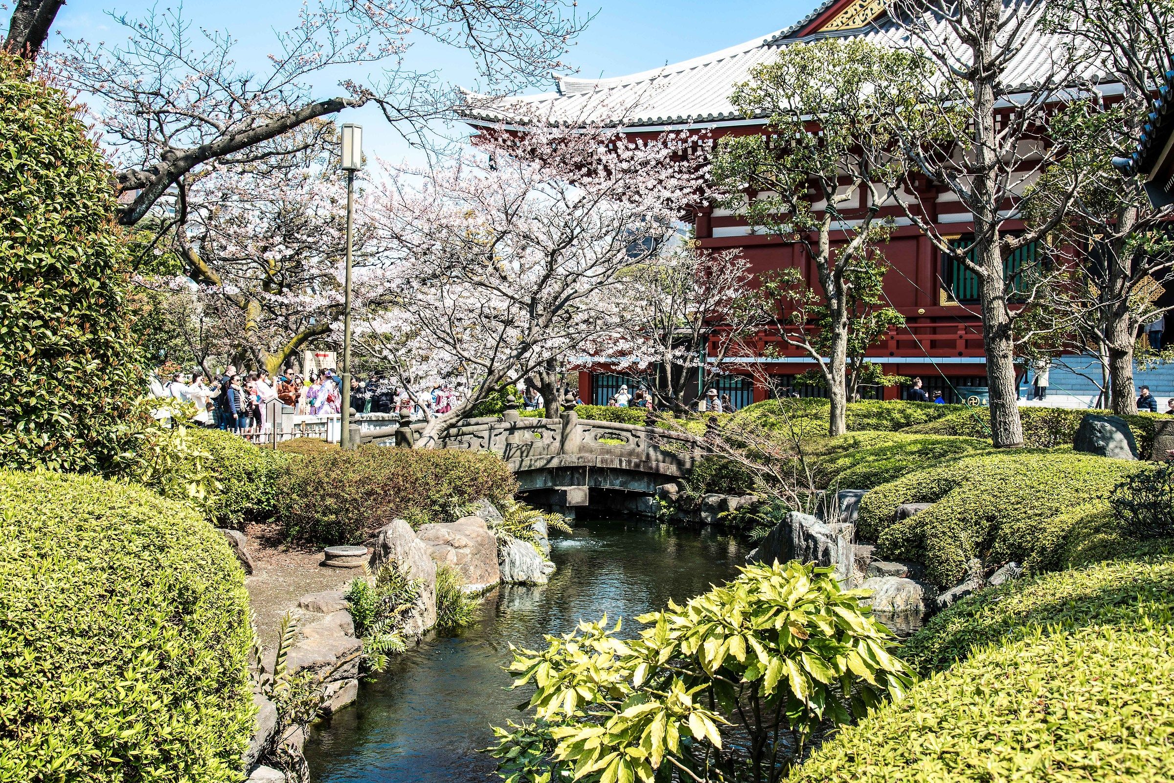 Tokyo,Asakusa ,Tempio Senso-JI