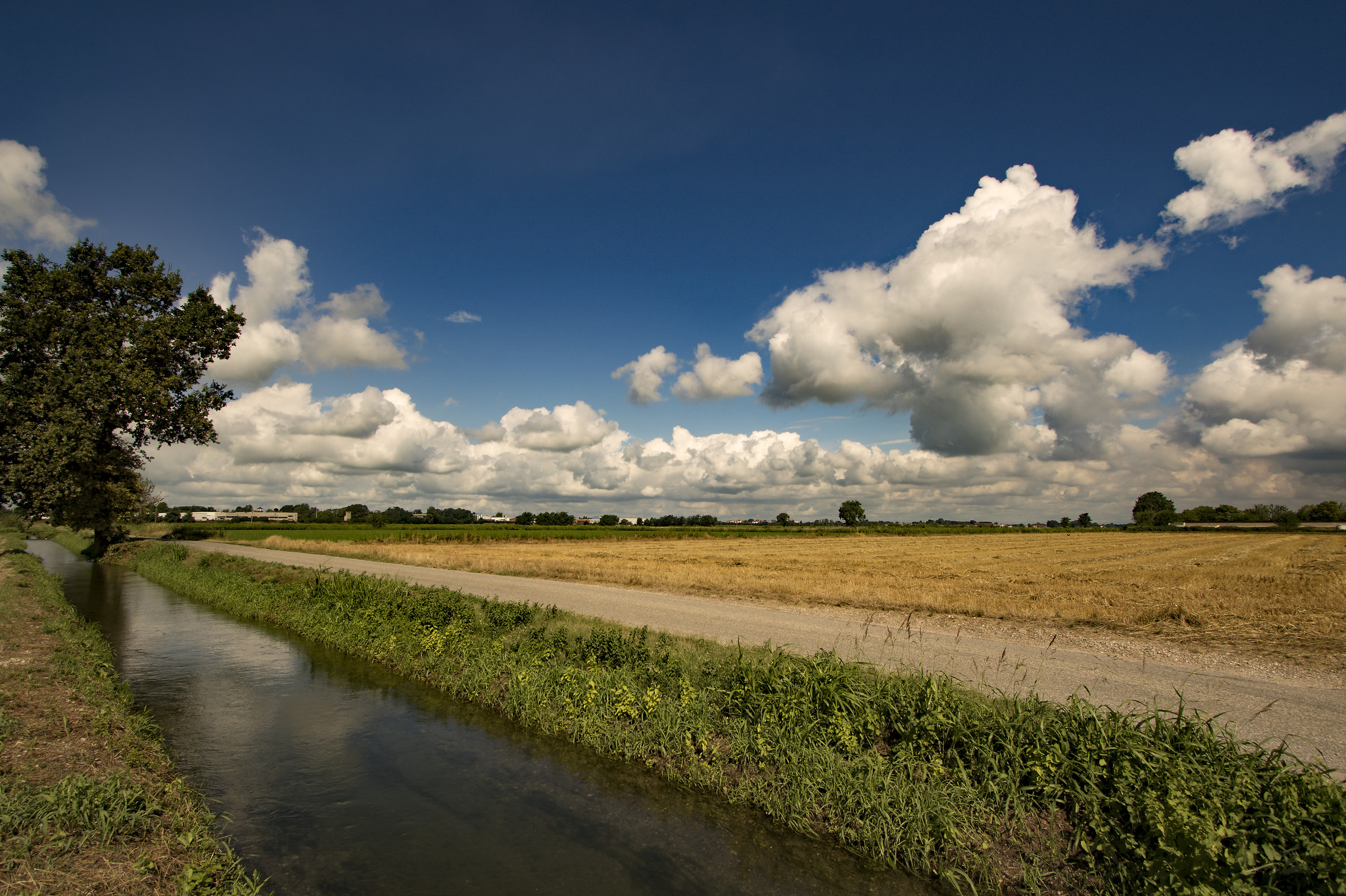 Stupid old paddy field