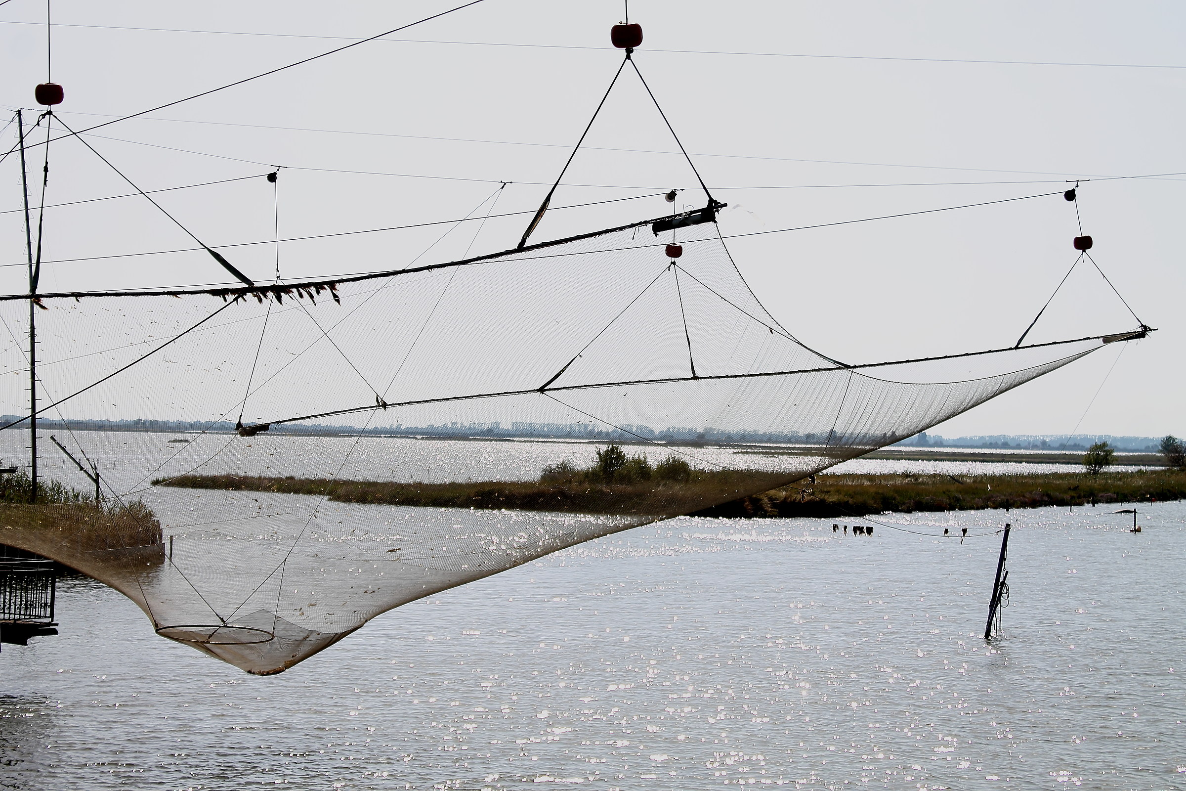 Nelle valli di Comacchio