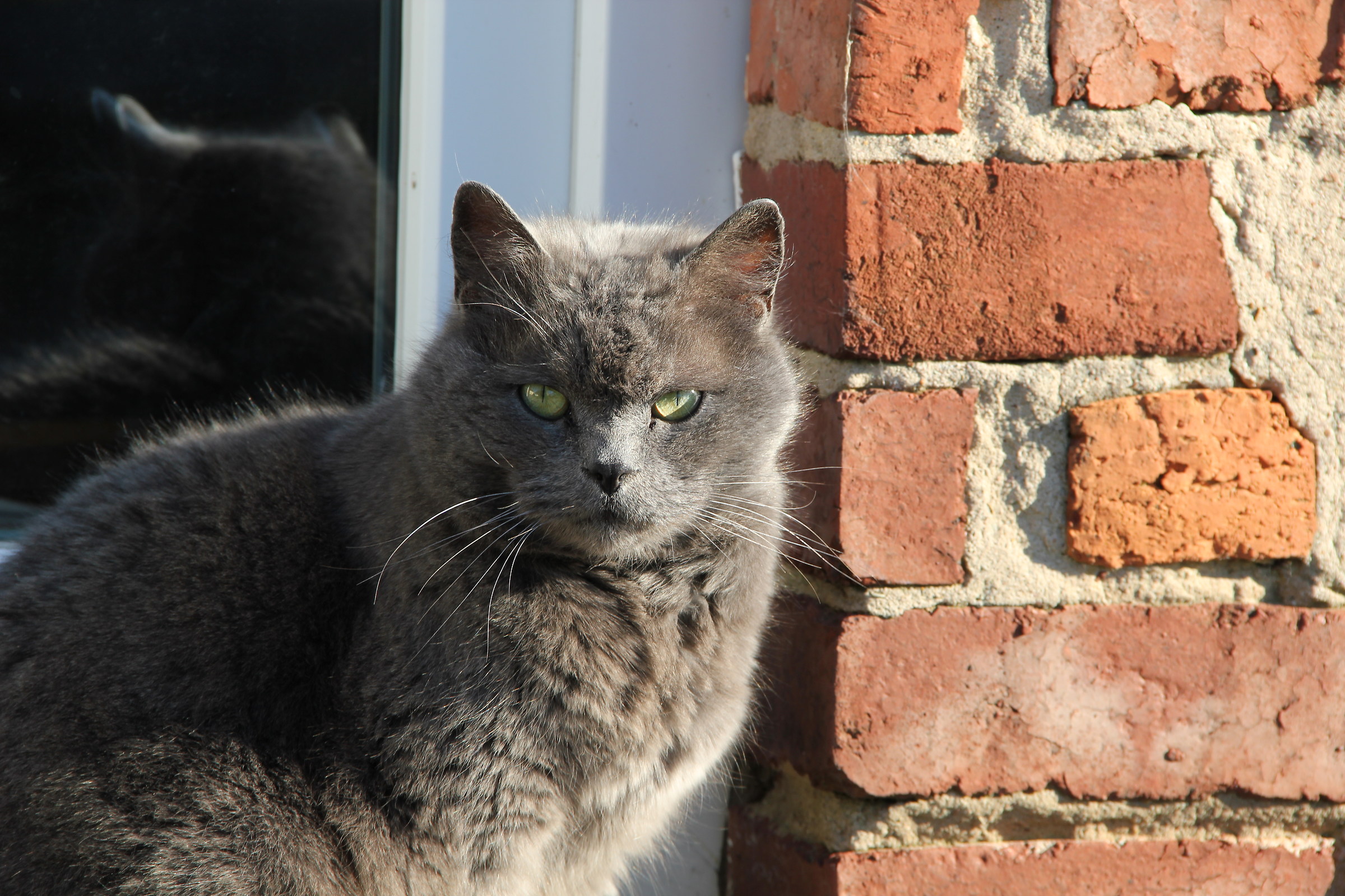 Friedhof der Kuscheltiere