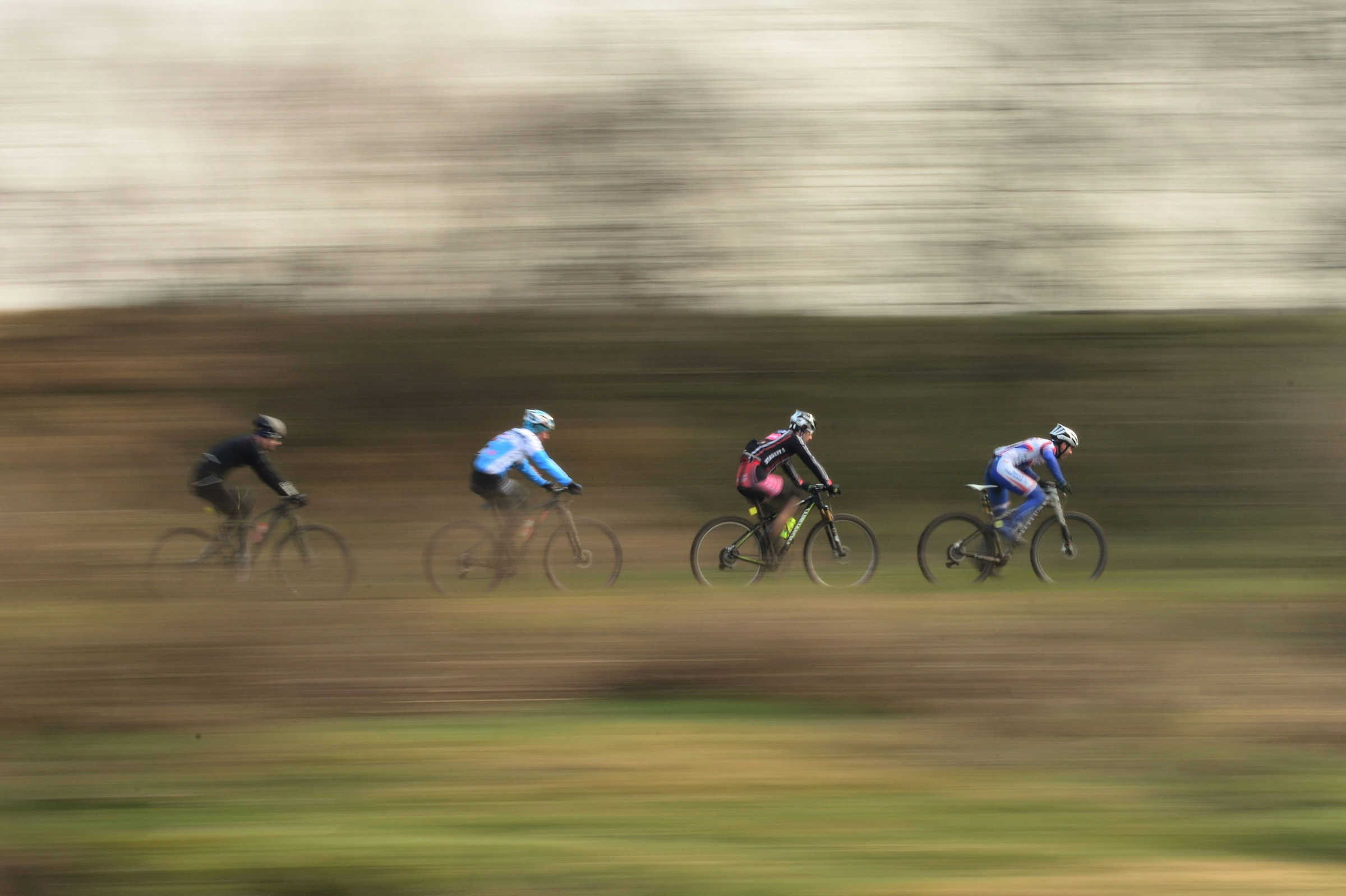 To my Father's memory