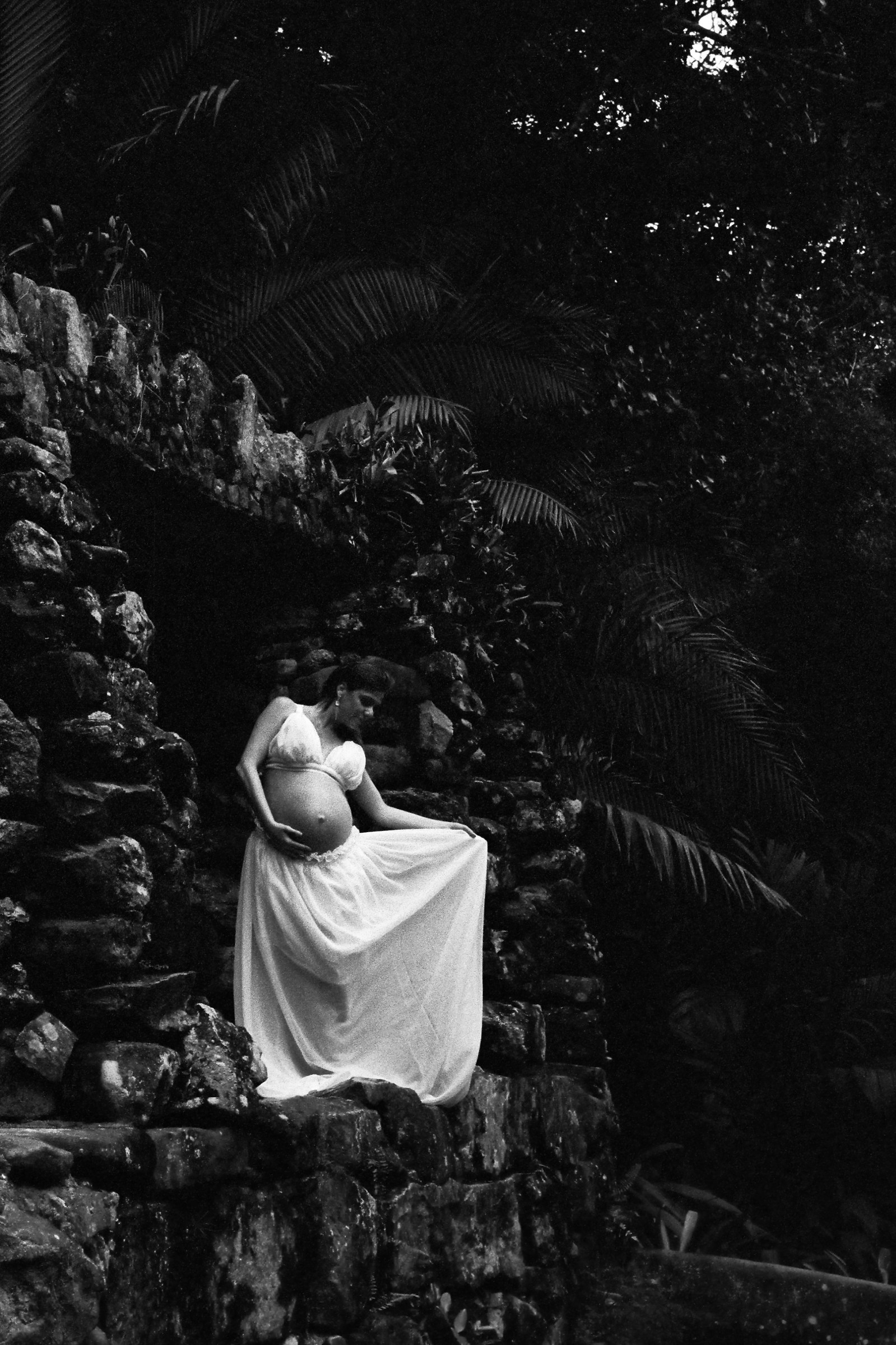 The beauty of nature