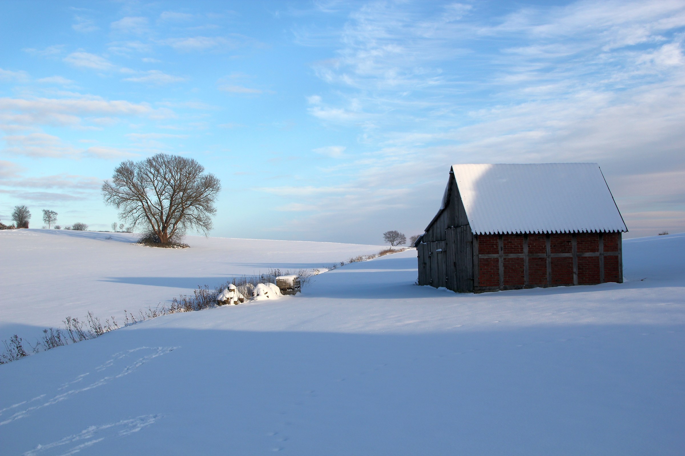 Winter Dezember 2010