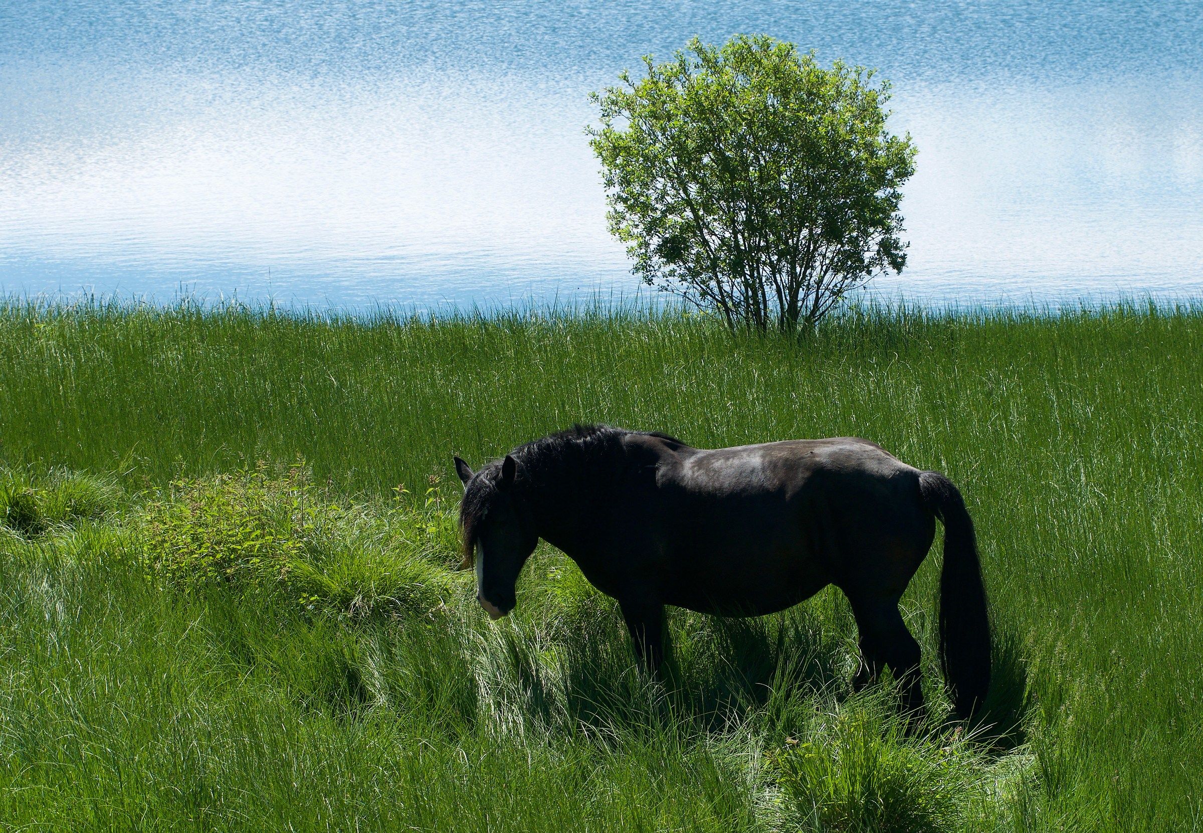 Maddalena lake Cuneo