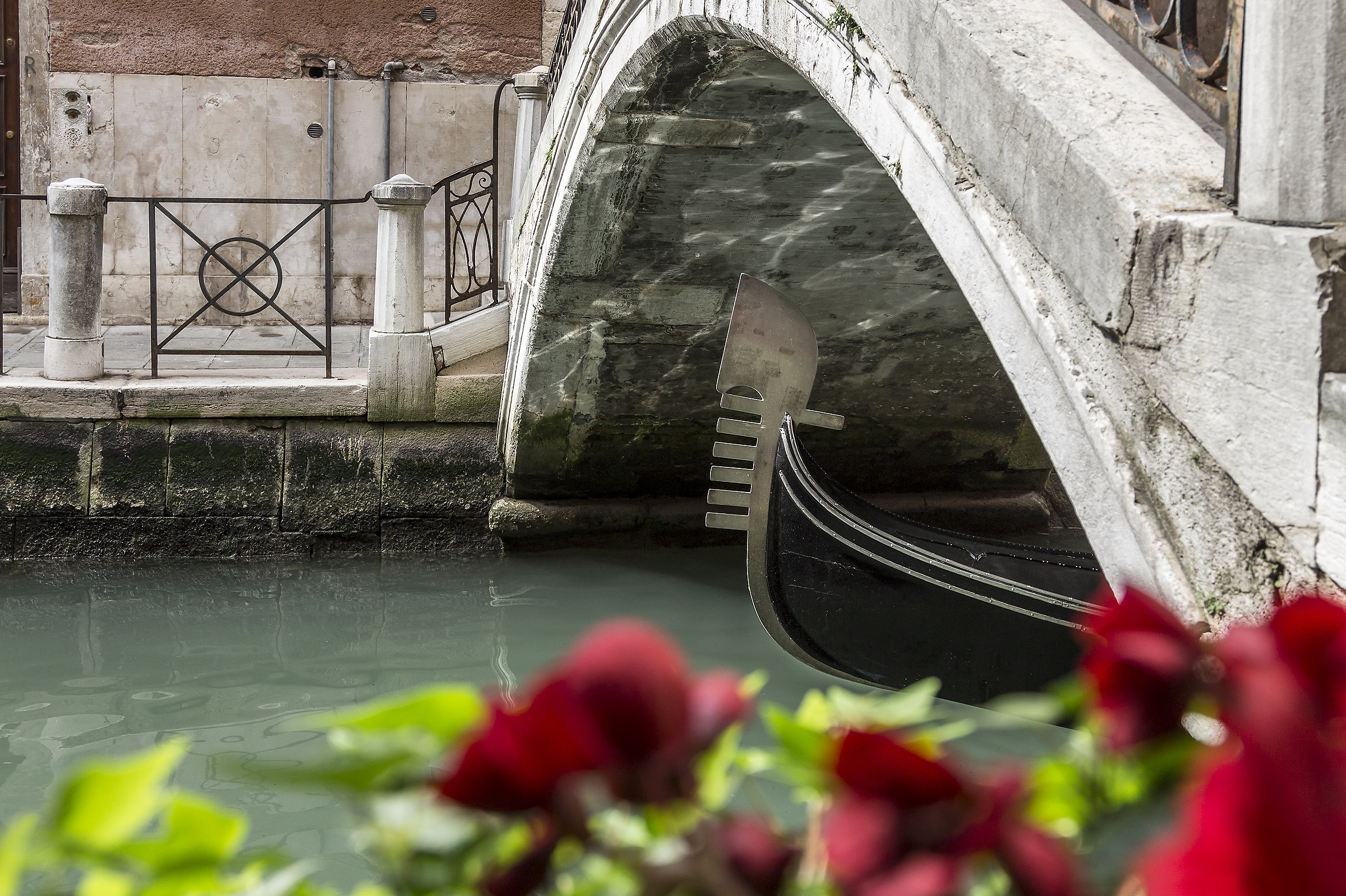 Check the bow from the bridge (Bow or bow iron) 1