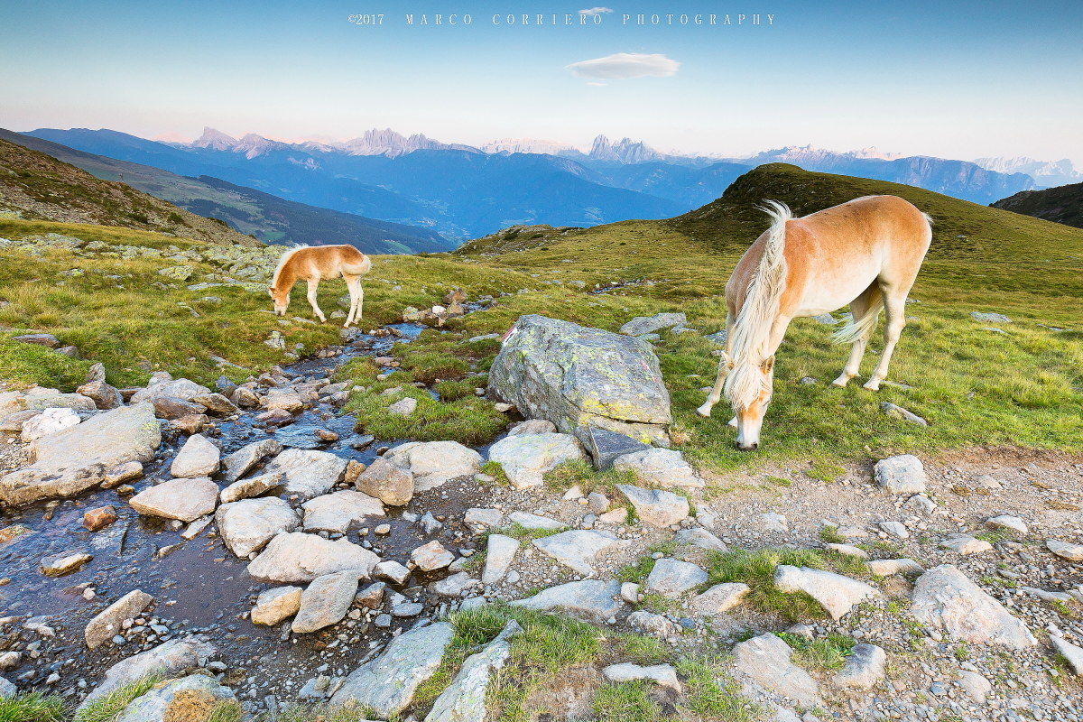 The green peaks of the Sarentini Mountains