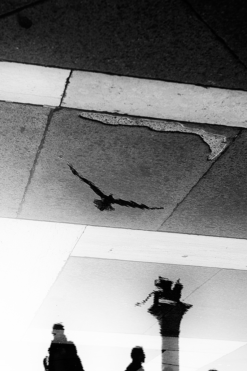 Uno squarcio nell'infinito